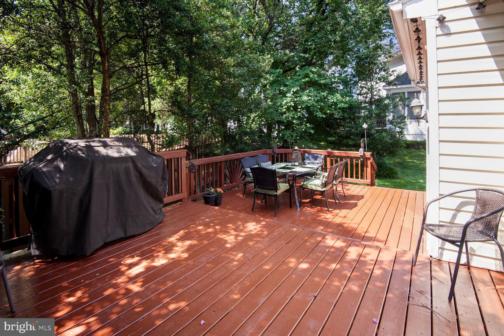 13701 ROSETREE COURT