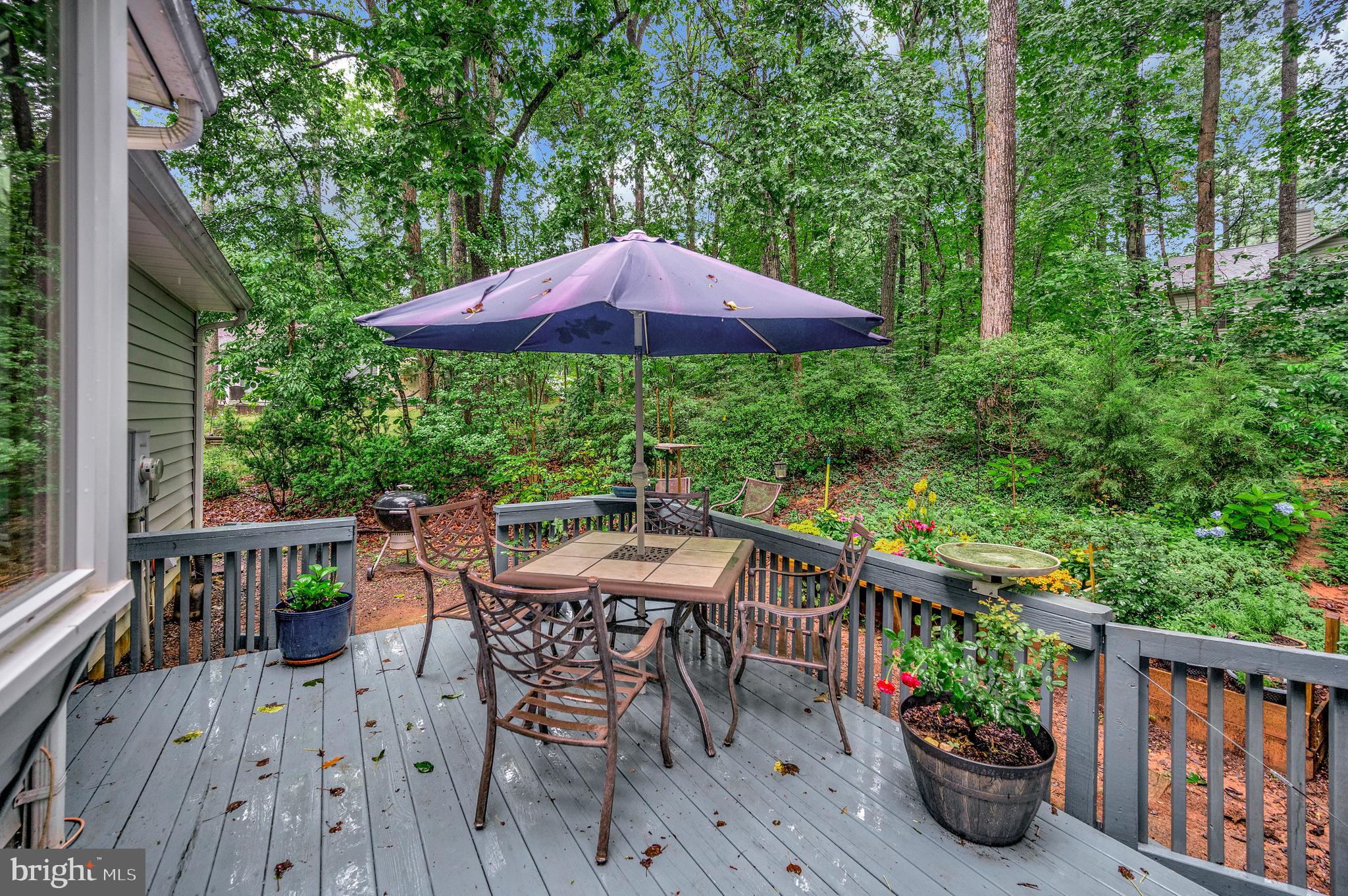 215 MT PLEASANT DRIVE