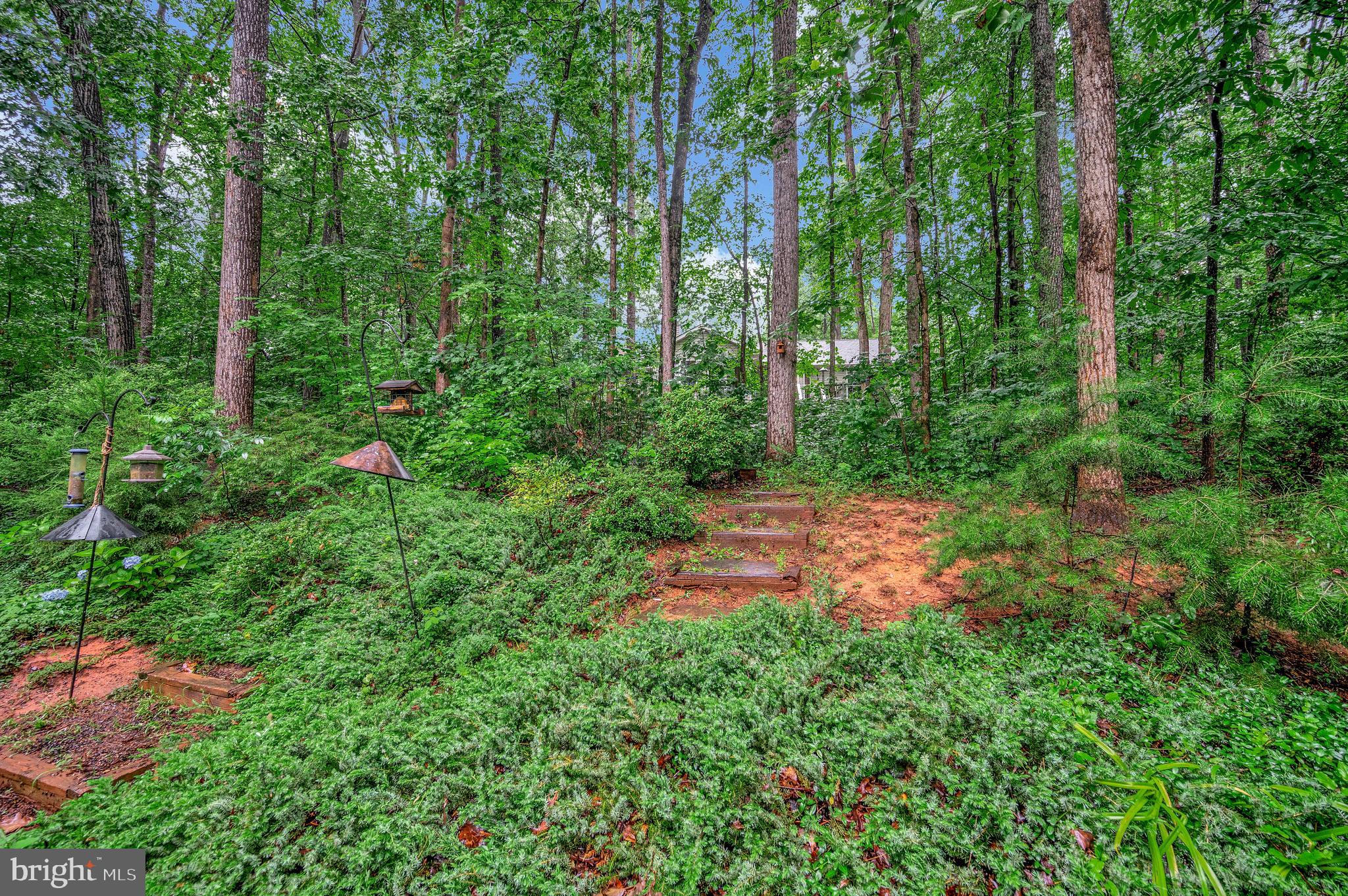 215 MT PLEASANT DRIVE