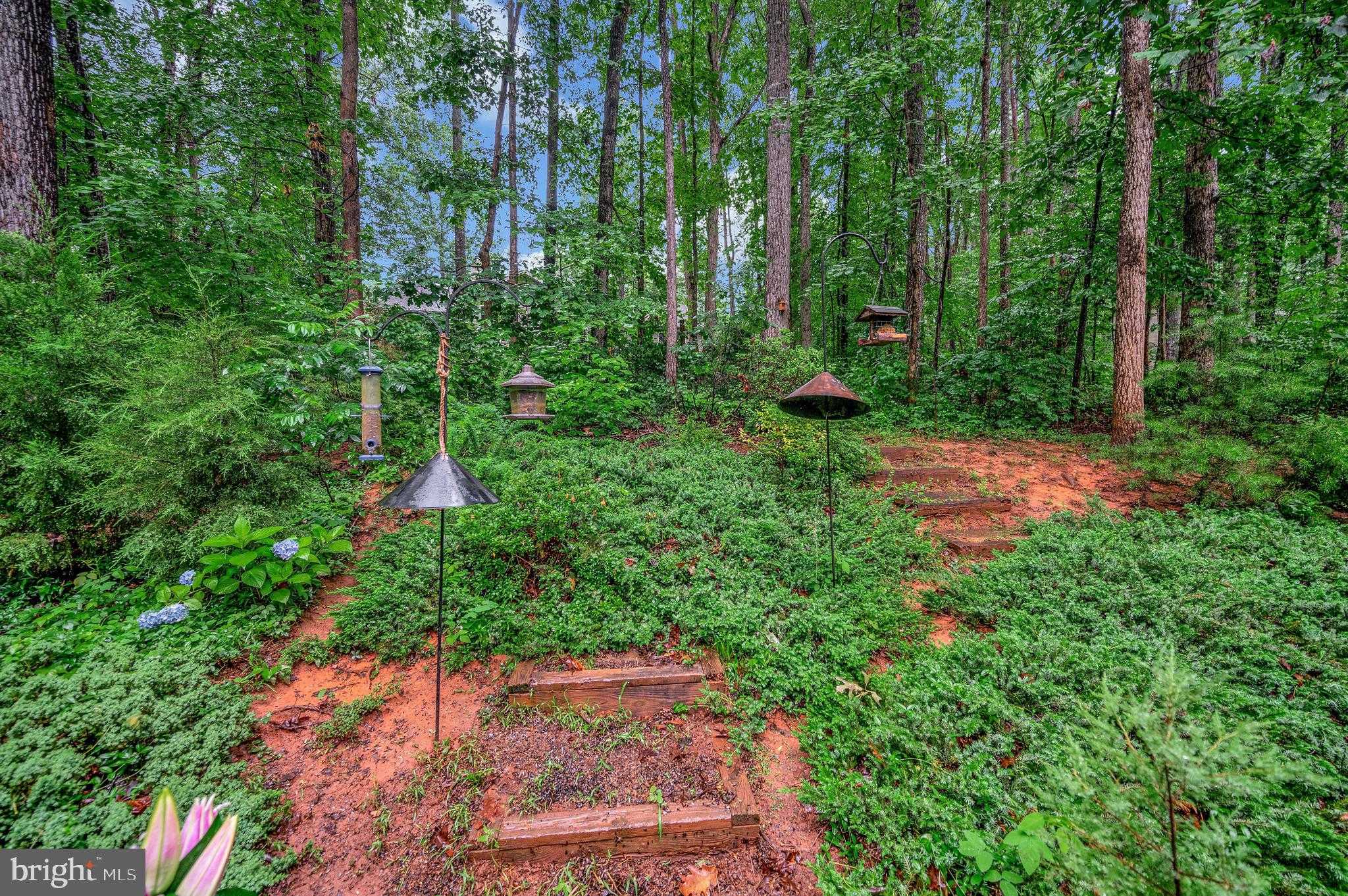 215 MT PLEASANT DRIVE