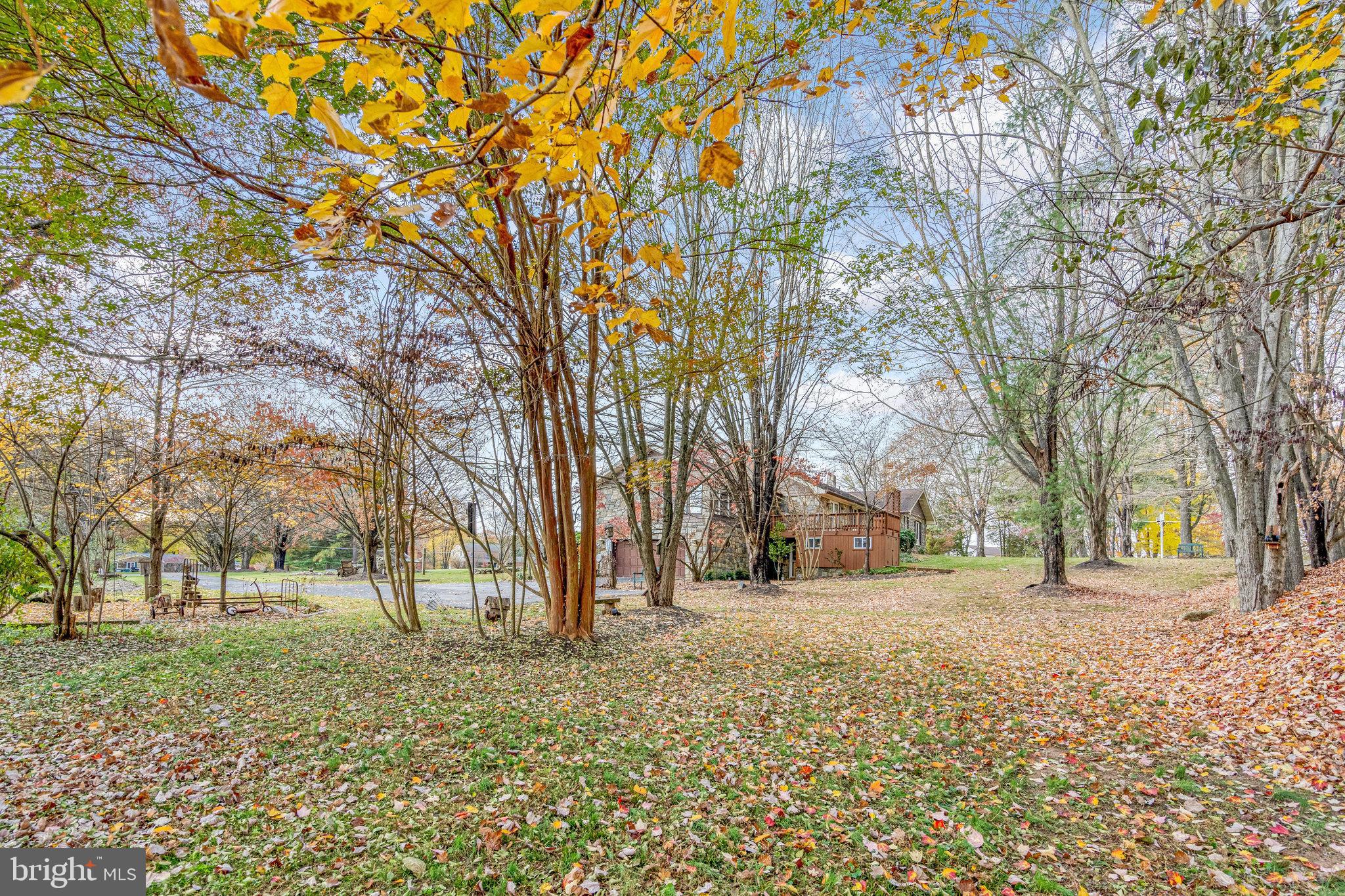12530 Boxwood Farms Dr