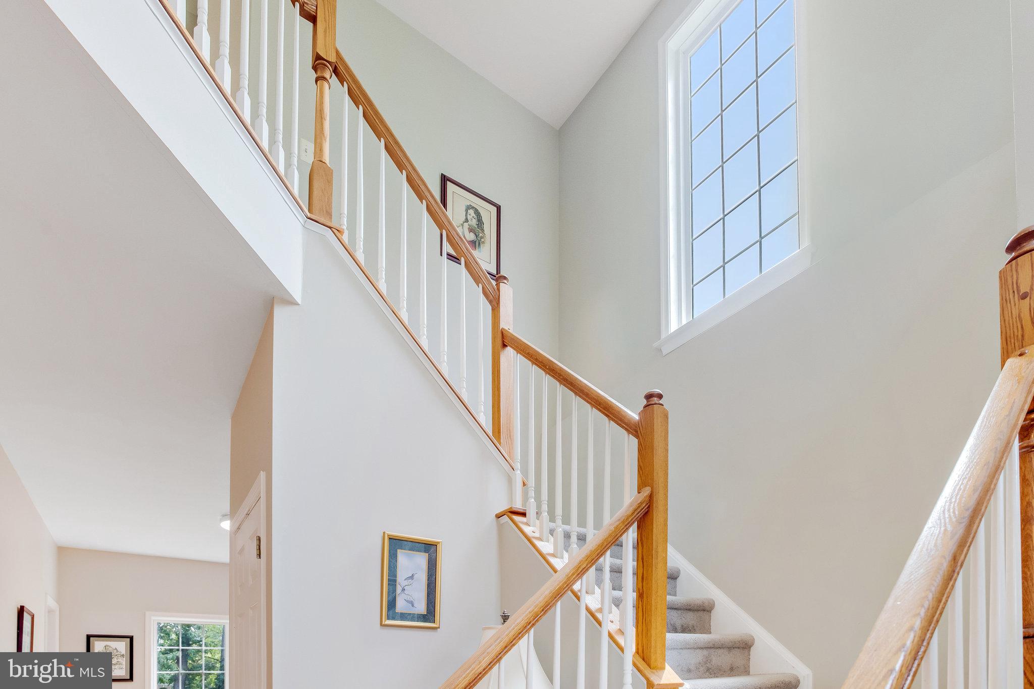 54 CANNON RIDGE DRIVE