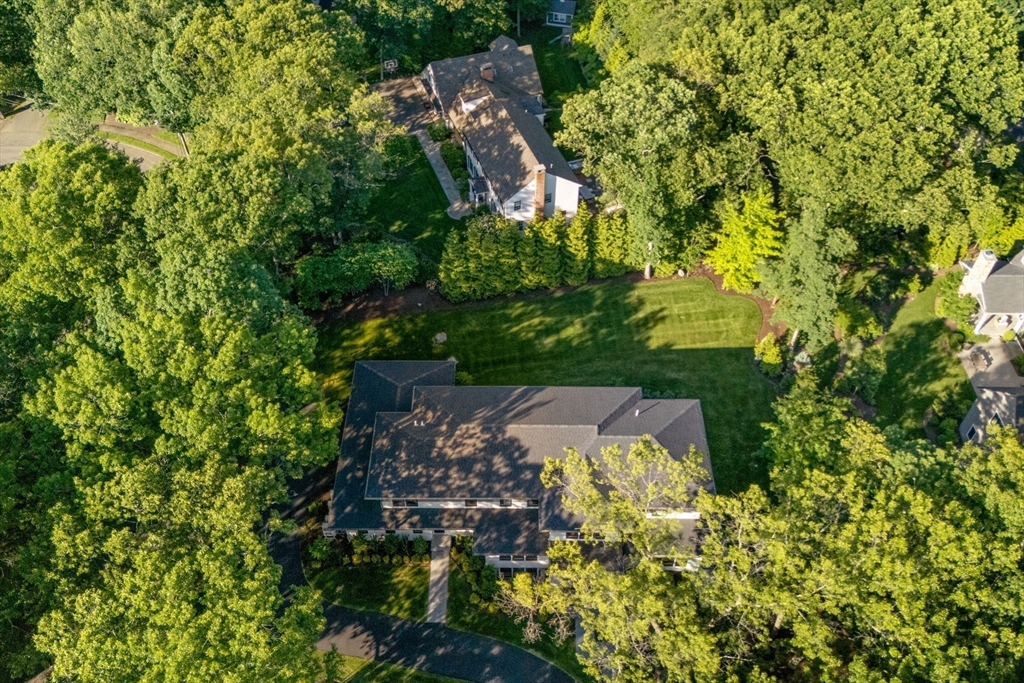 9 Bellevue Road