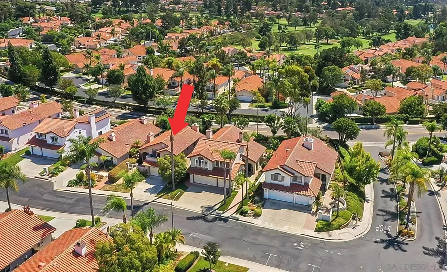 1539 Mallorca Dr
