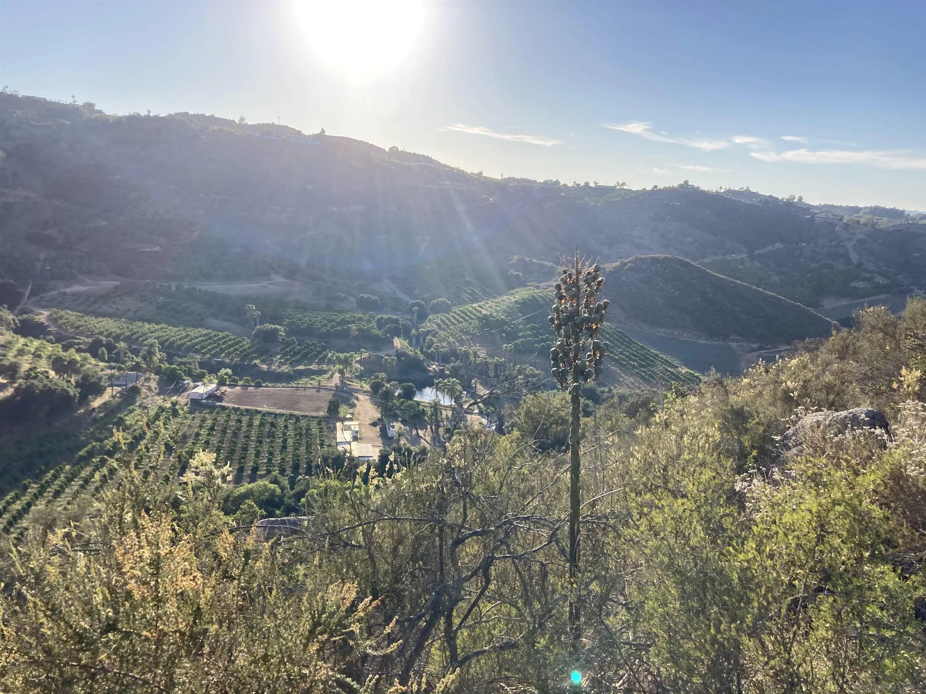 13723 Pauma Vista Dr Unit 130-141-0600, 130-141-0500