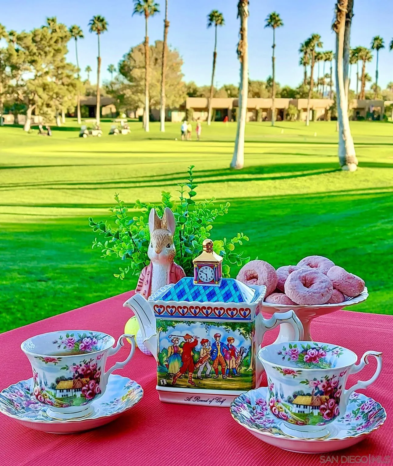 28740 Desert Princess Dr