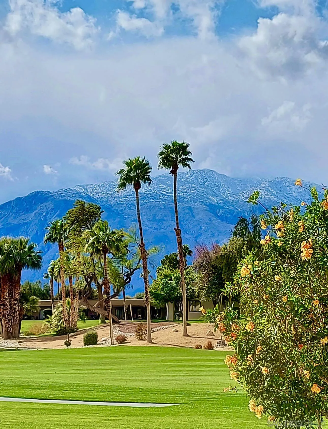 28740 Desert Princess Dr