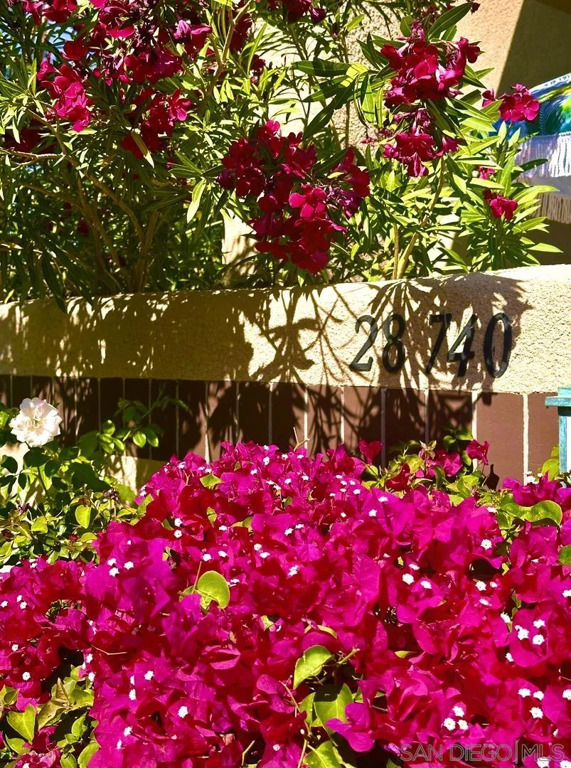 28740 Desert Princess Dr