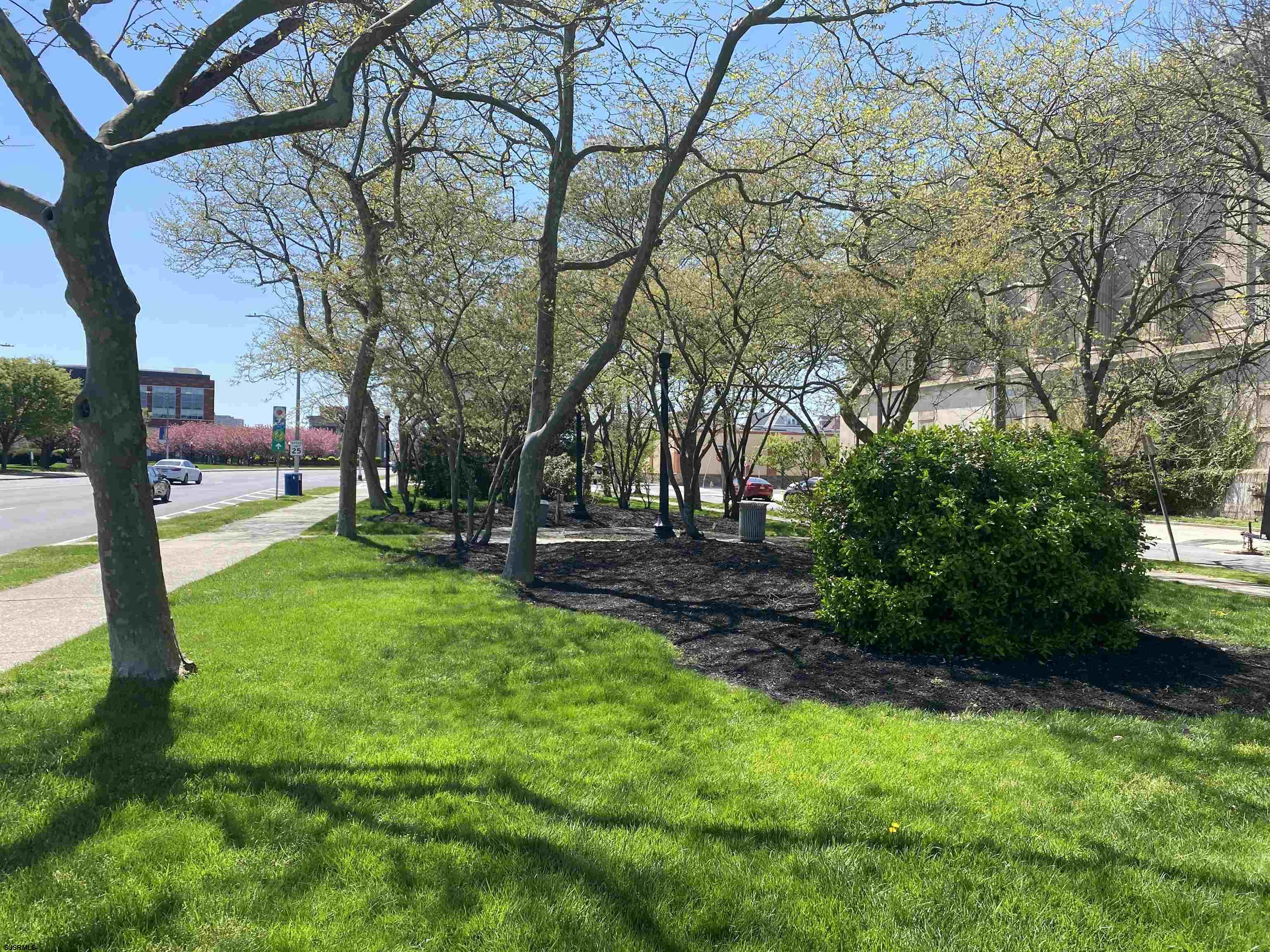 3501 Ventnor Ave Unit: A-3