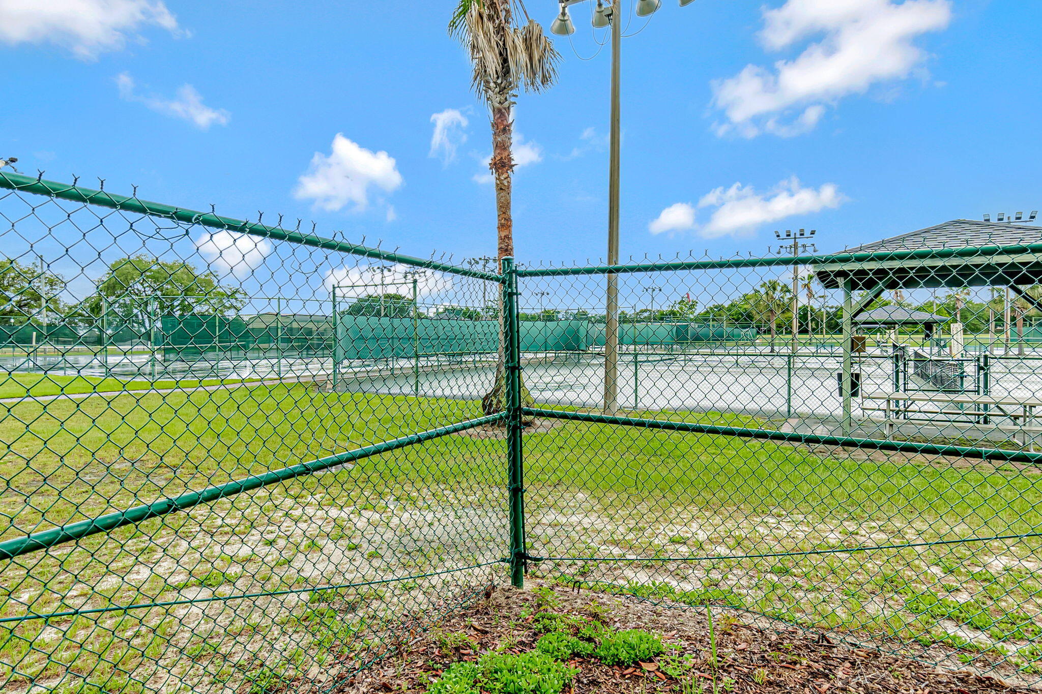 6562 Longview Street