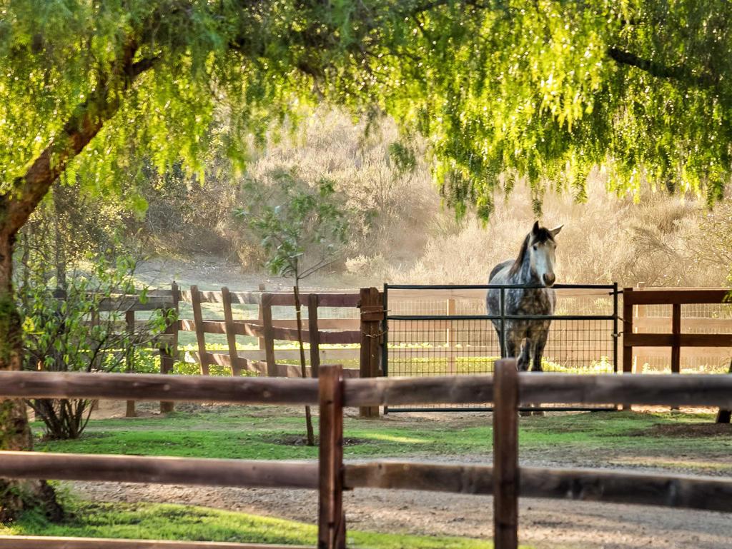 15336 Mesa Estates Ct