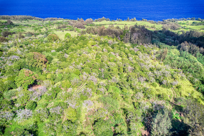 47-4536 WAIPIO RD