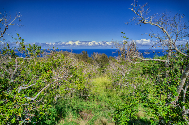 47-4536 WAIPIO RD