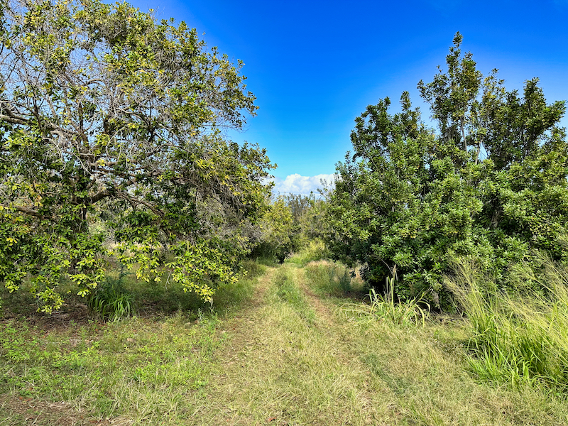 47-4536 WAIPIO RD