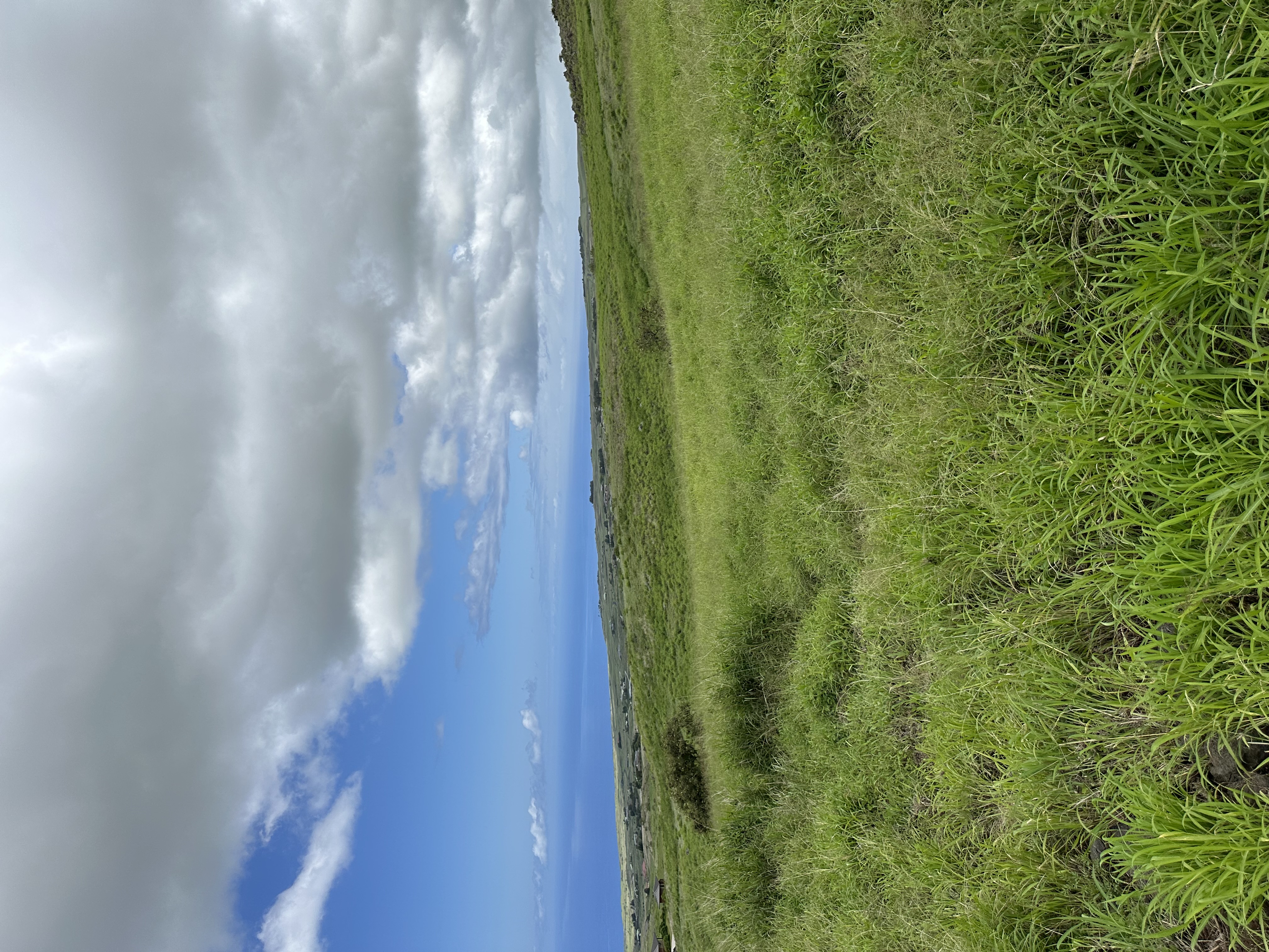 KOHALA RANCH ROAD