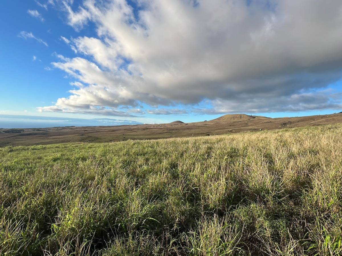 KOHALA RANCH ROAD