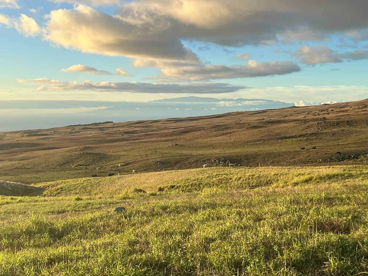 KOHALA RANCH ROAD