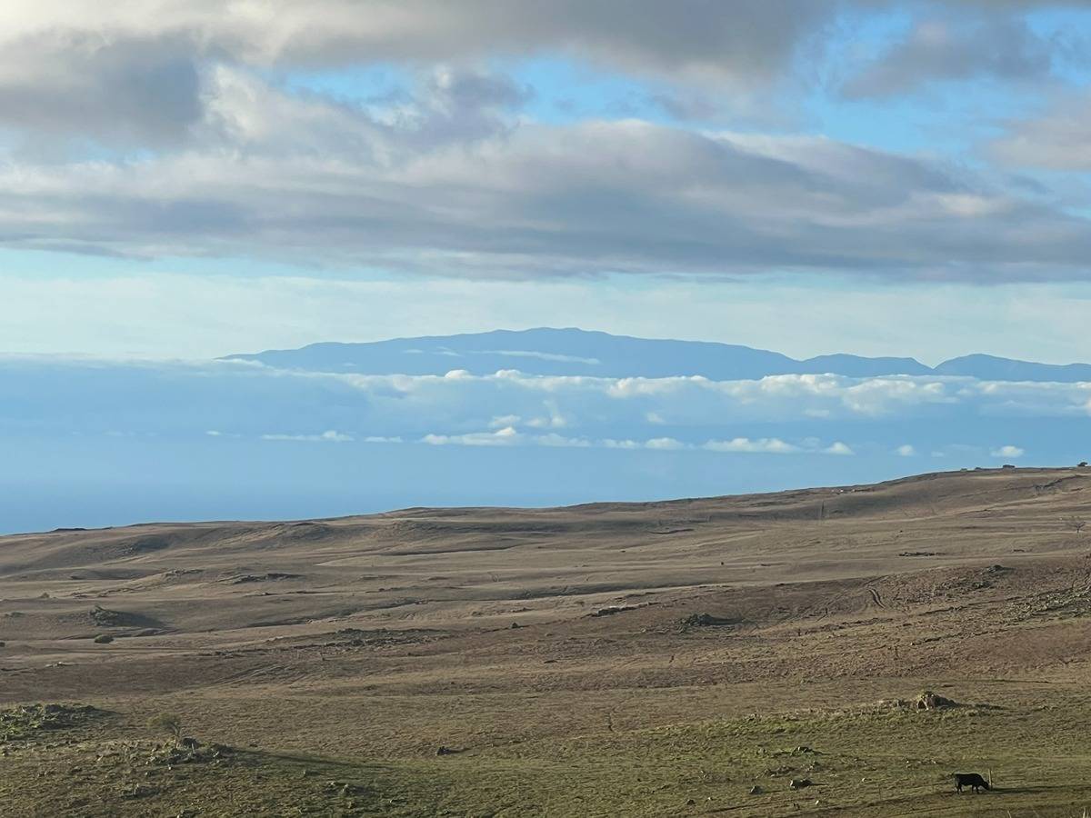 KOHALA RANCH ROAD
