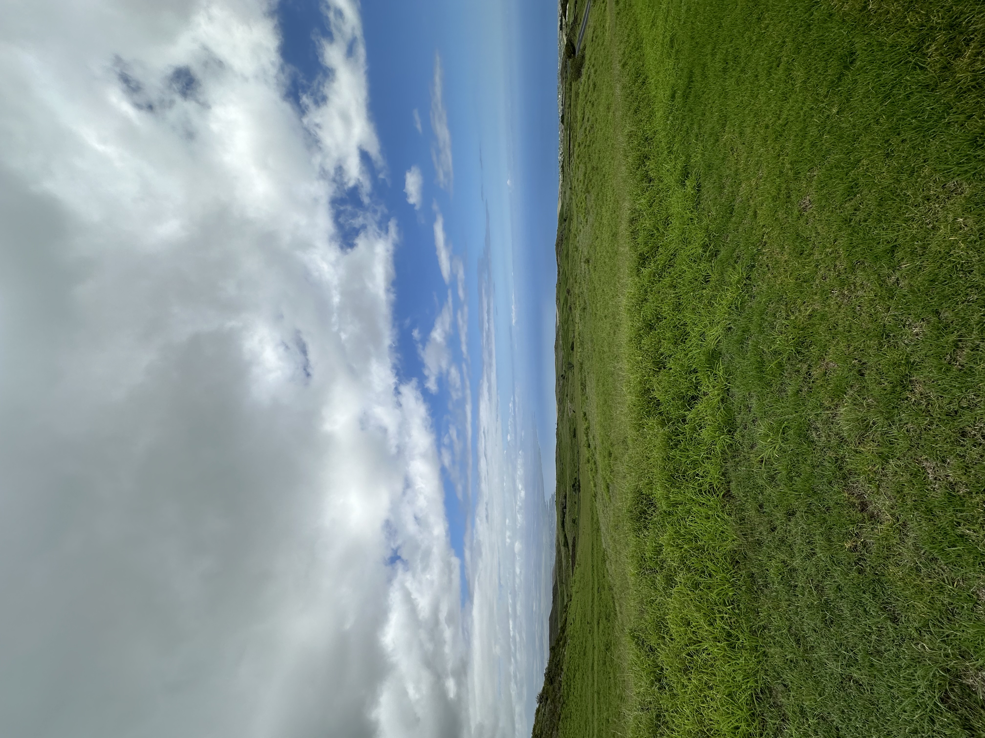 KOHALA RANCH ROAD