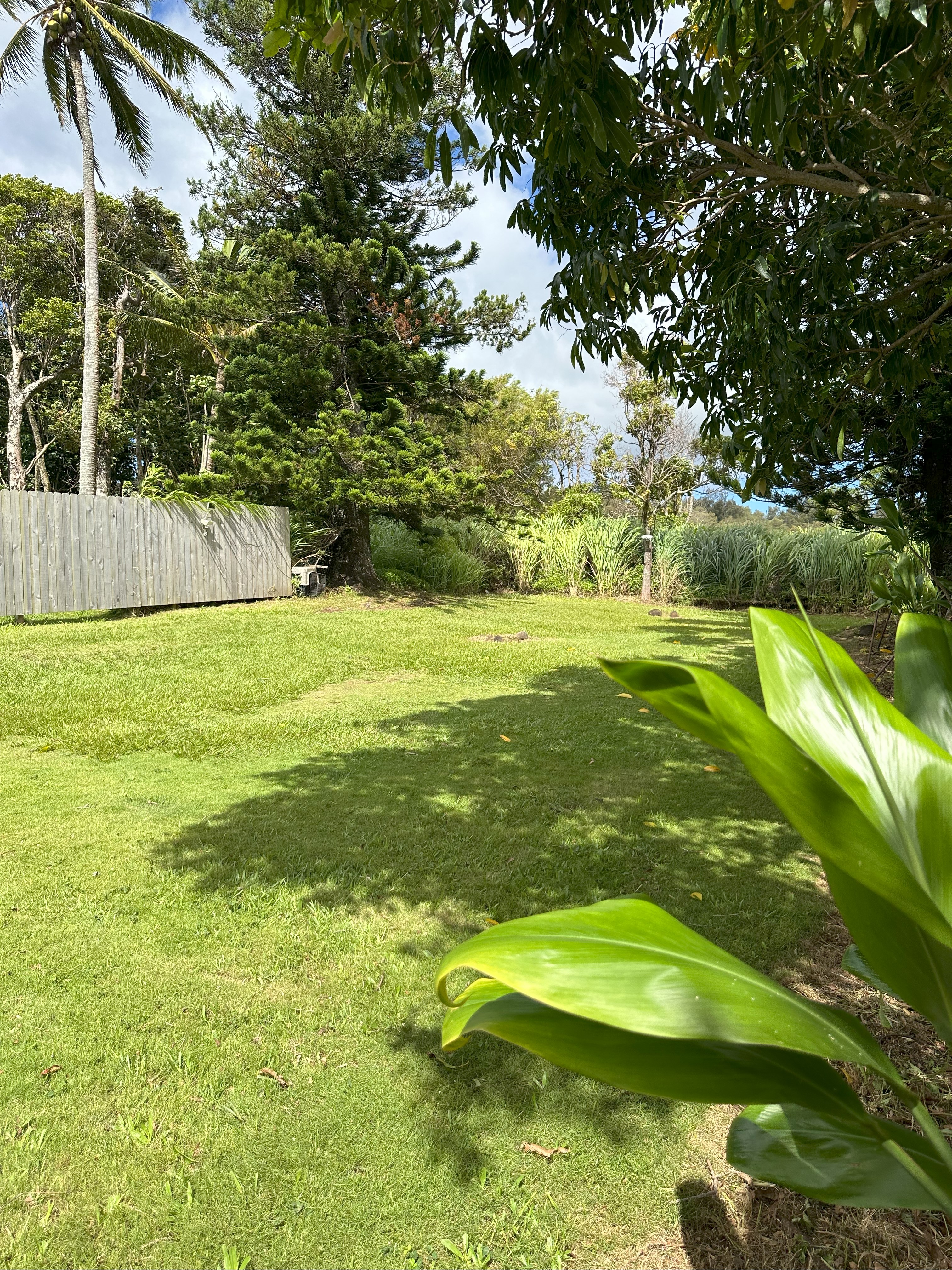 54-2423 KYNNERSLEY RD