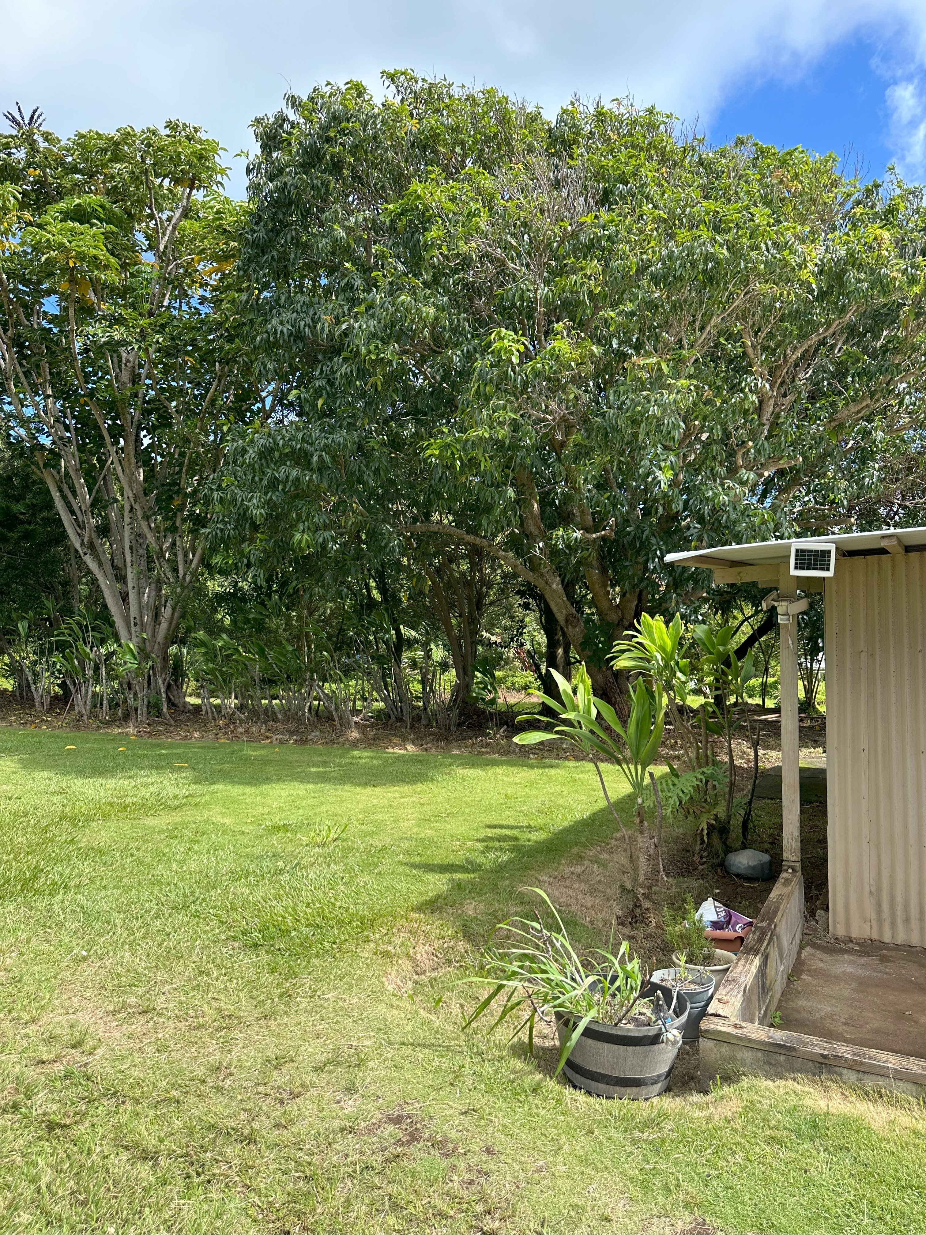 54-2423 KYNNERSLEY RD