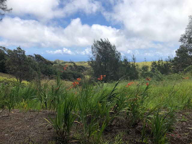 46-3871 KAHANA DR