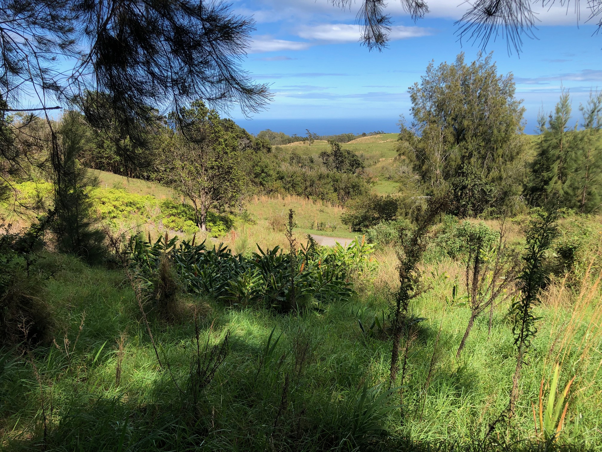 46-3871 KAHANA DR