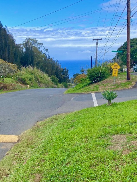 43-971 NAMILIMILI LN