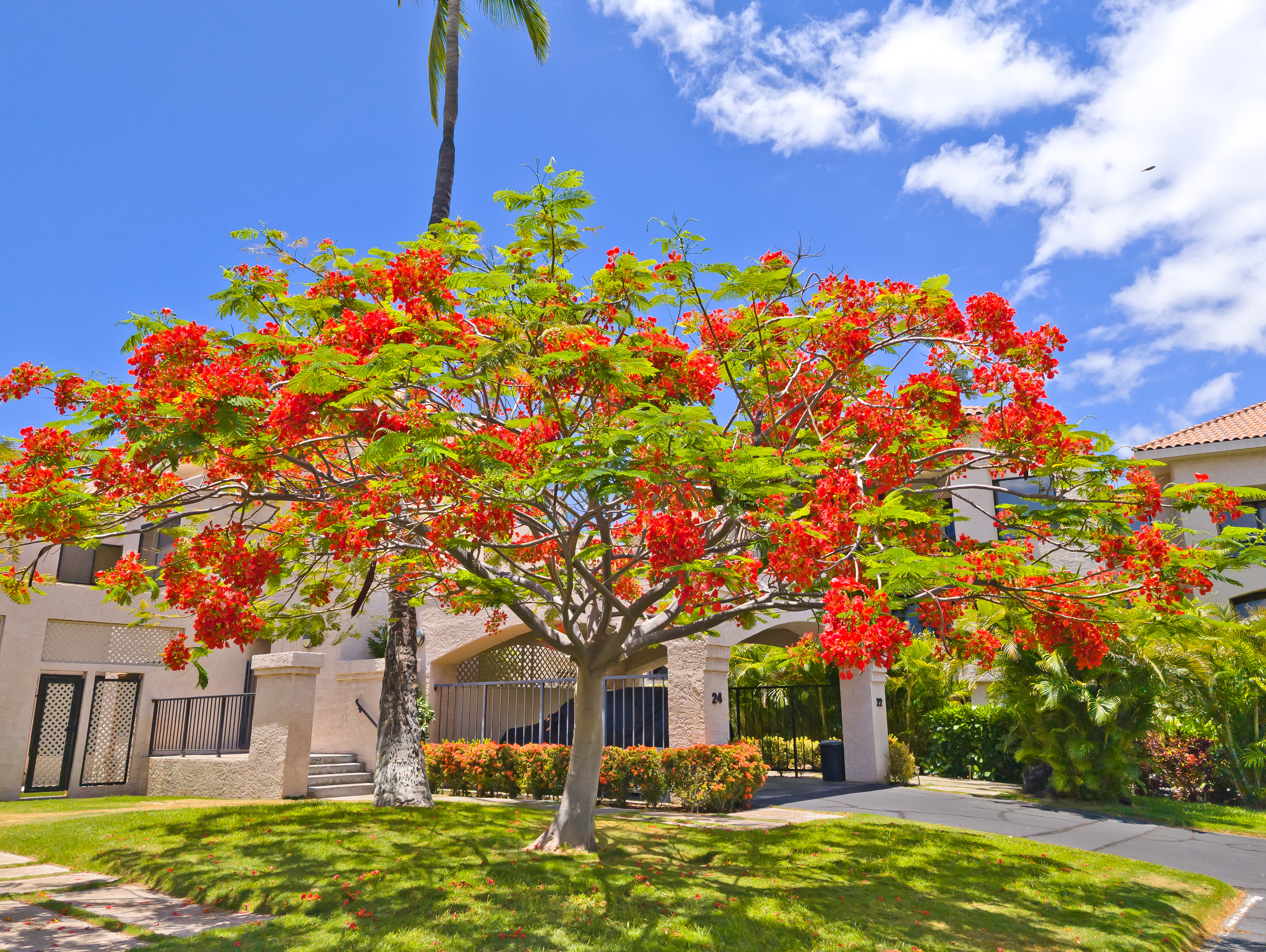 69-1035 KEANA PL 132