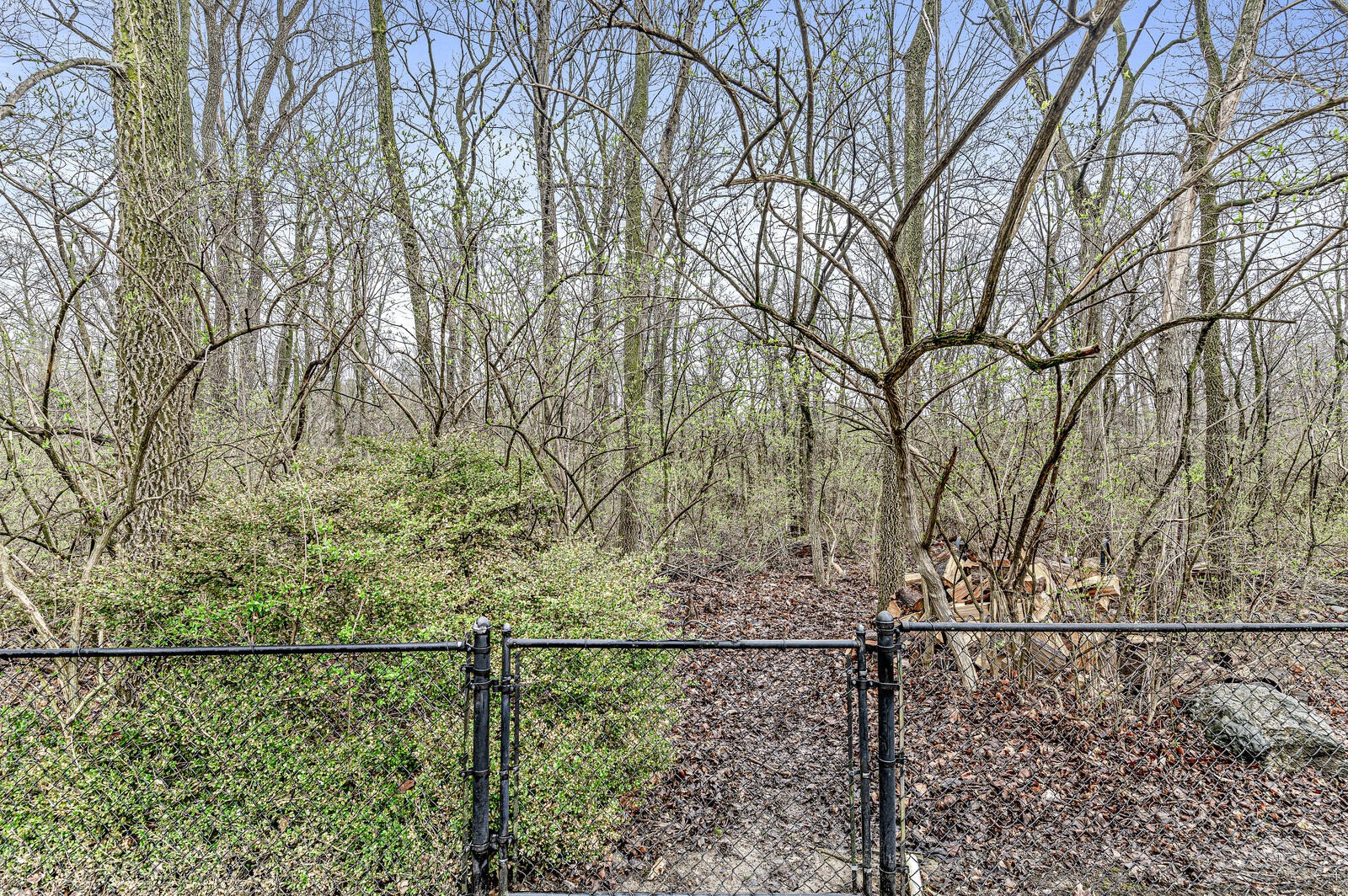 6243 Carrington Drive