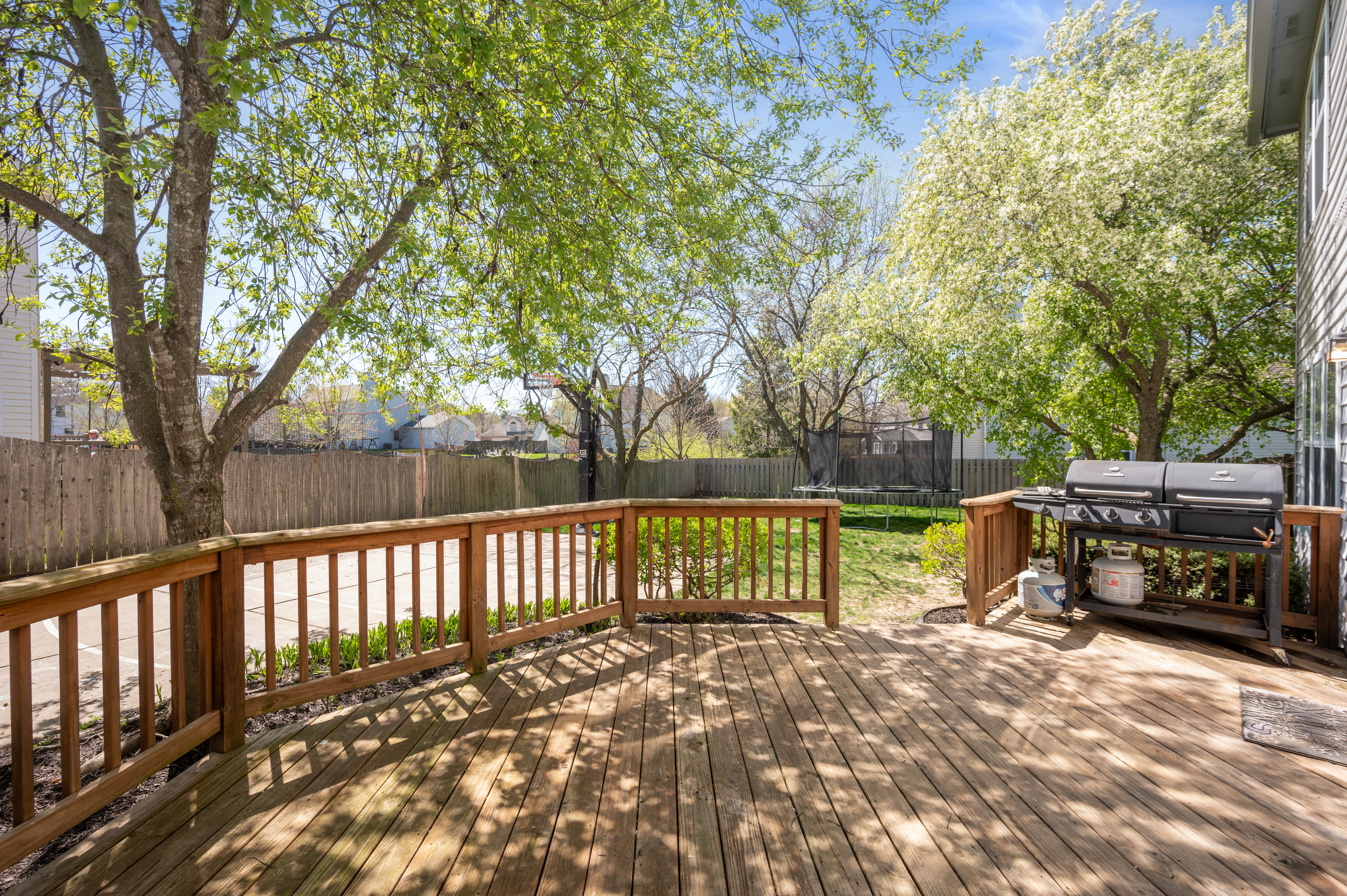 8379 Bighorn Court