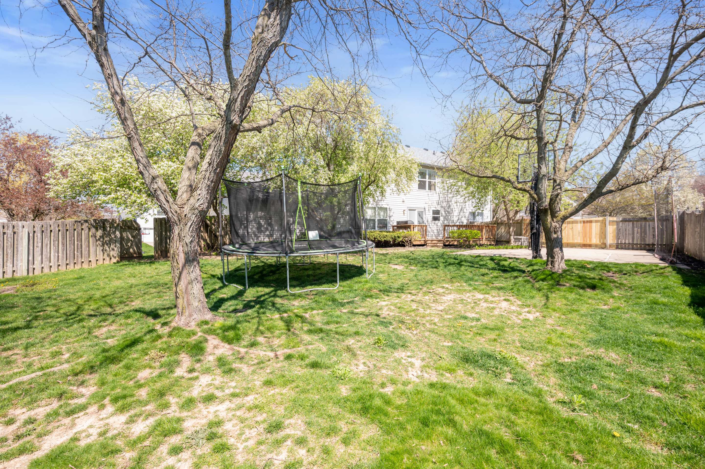 8379 Bighorn Court
