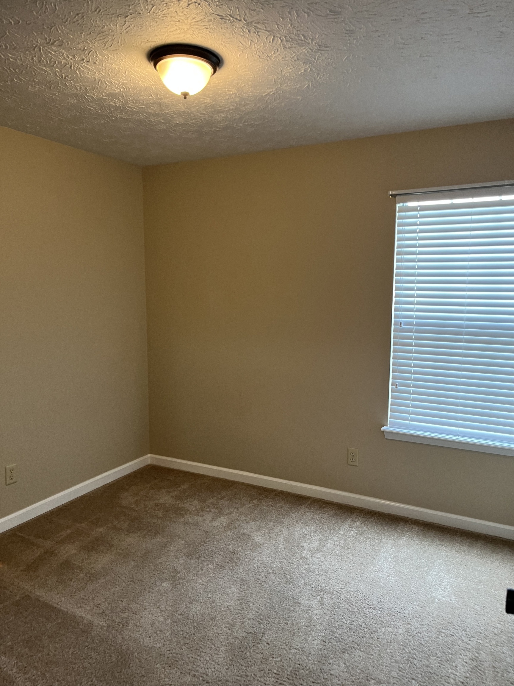 10805 Belmont Circle