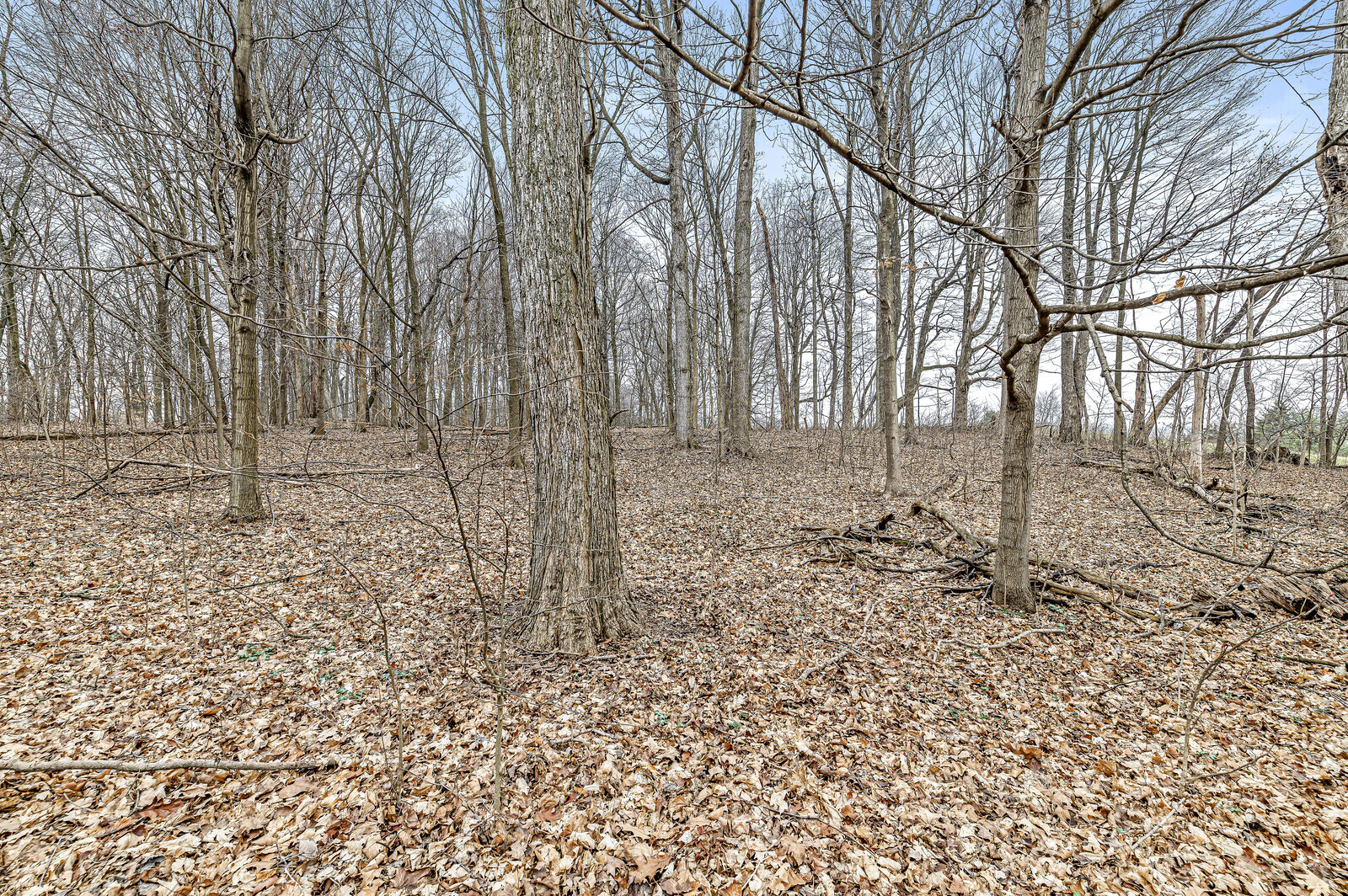 8168 W Fairfield Lane