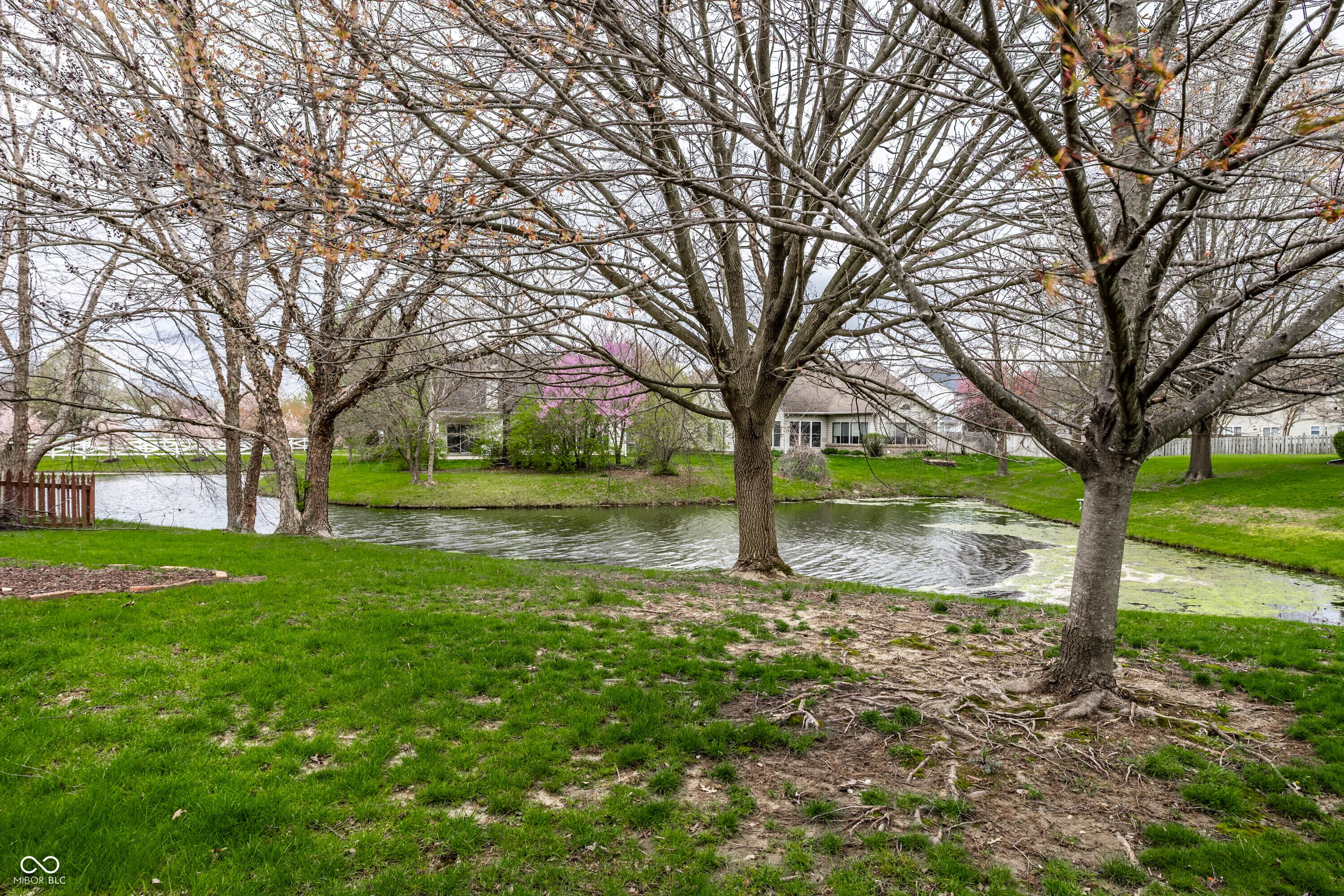 8618 Turnstone Court