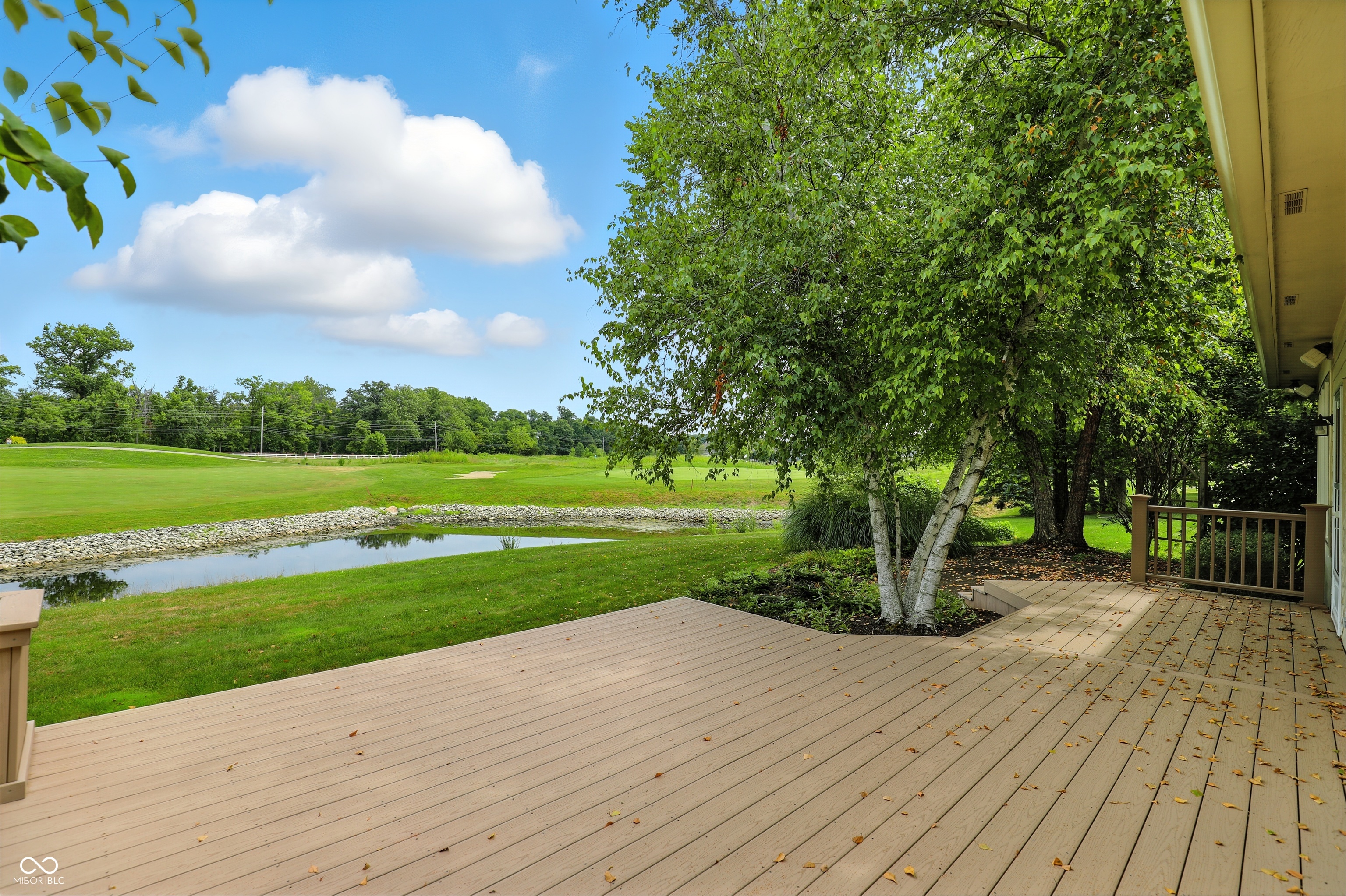 10954 Treyburn Drive