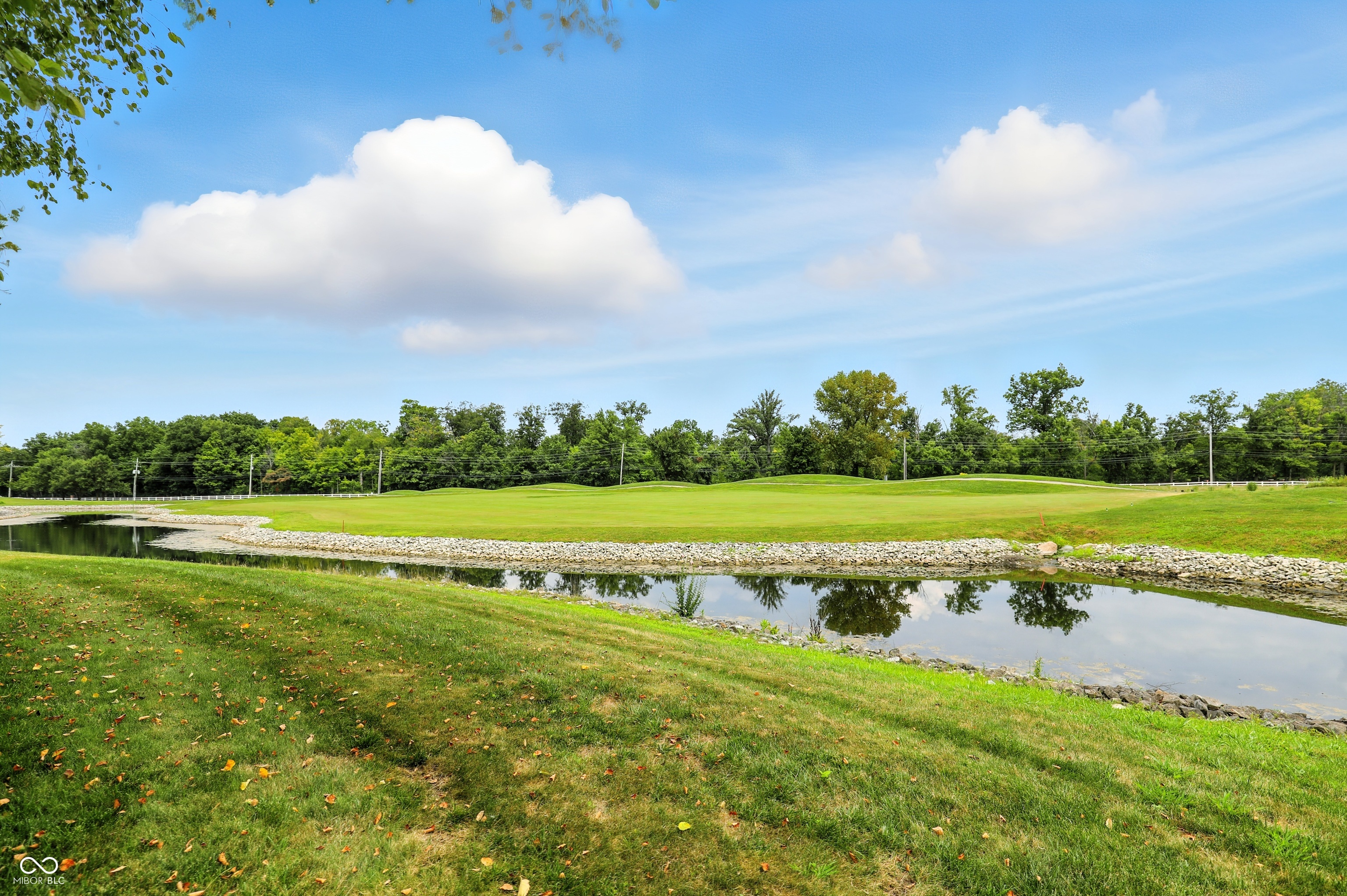 10954 Treyburn Drive