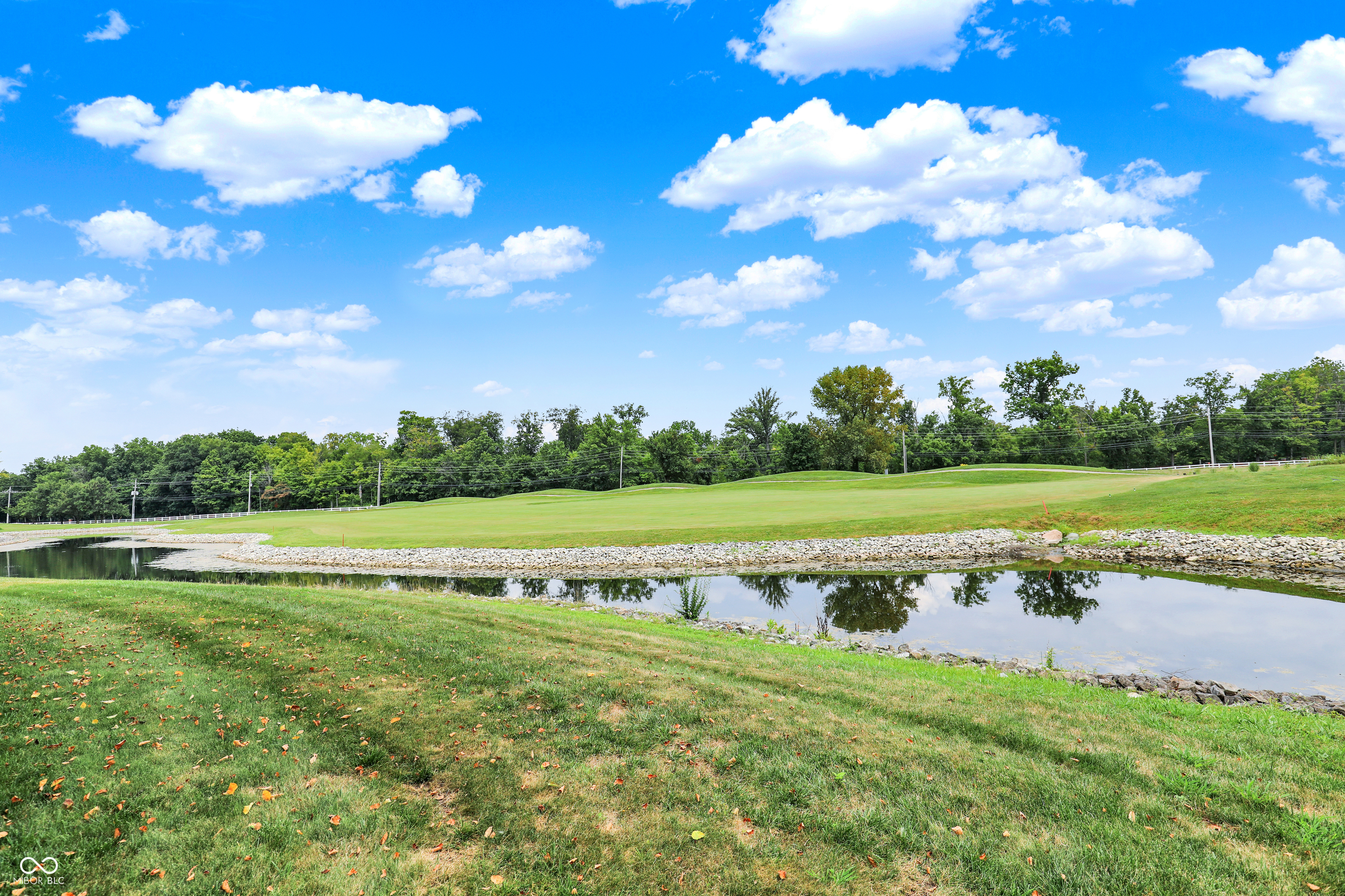 10954 Treyburn Drive