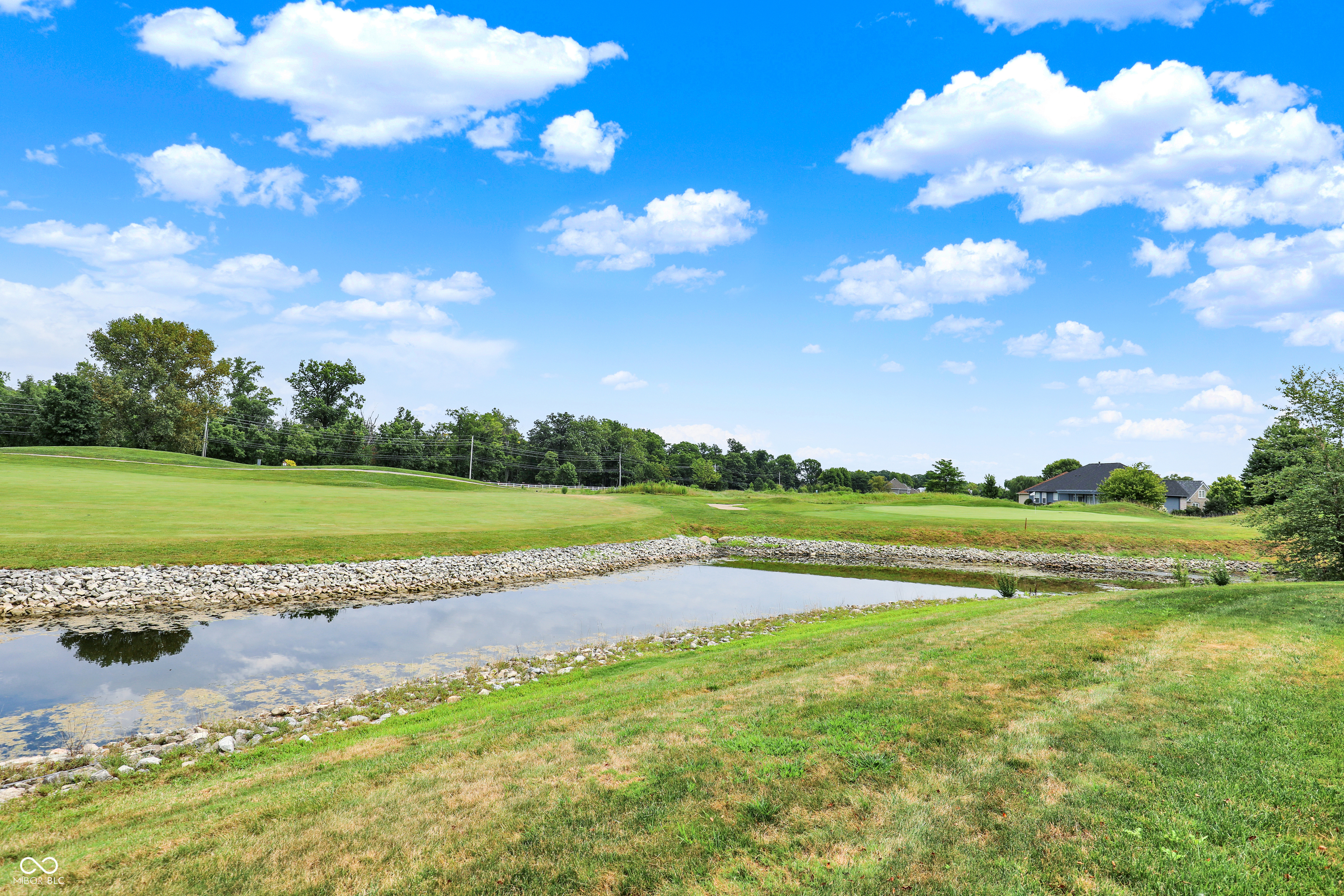 10954 Treyburn Drive