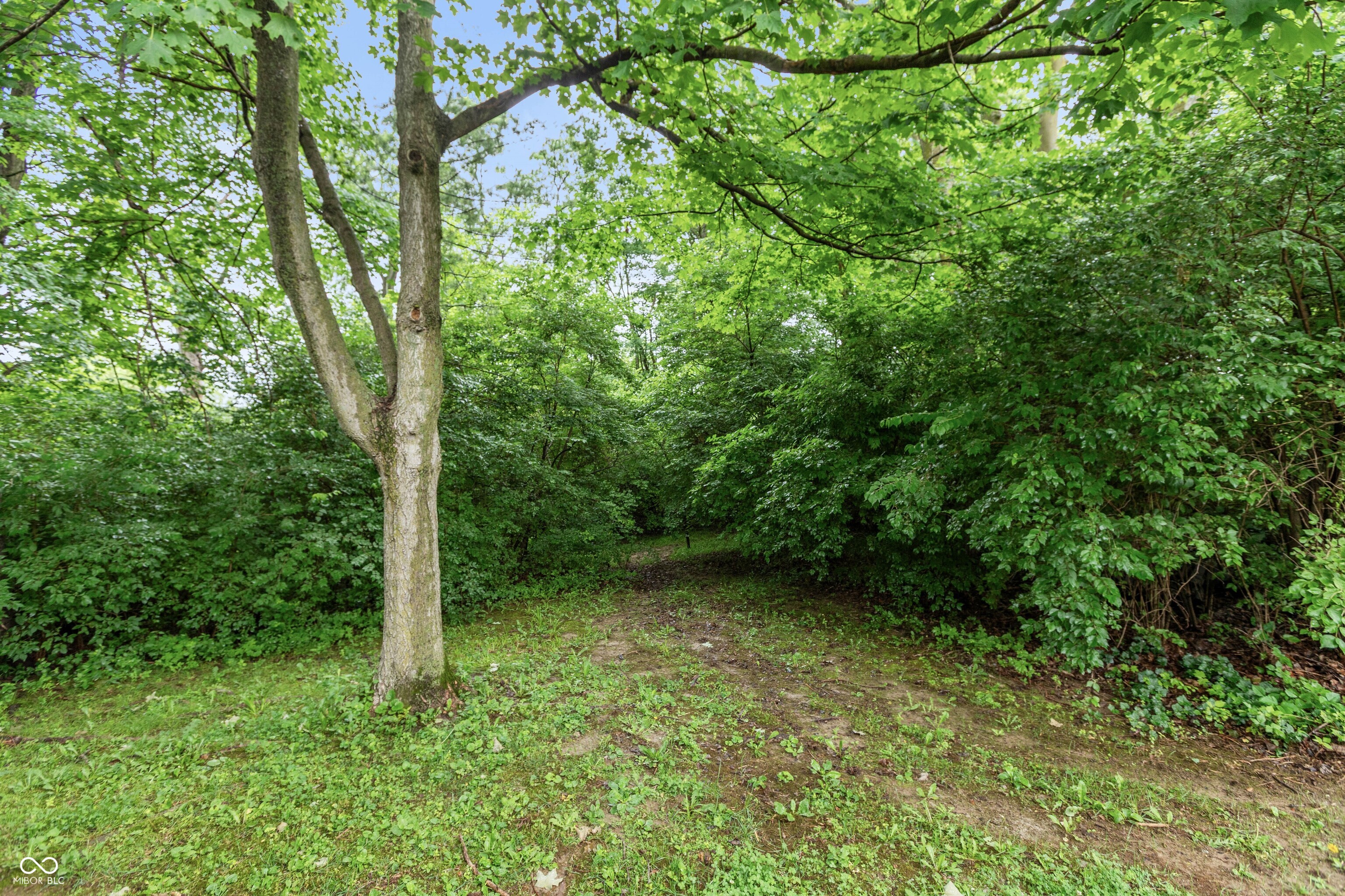 6004 Buckskin Circle