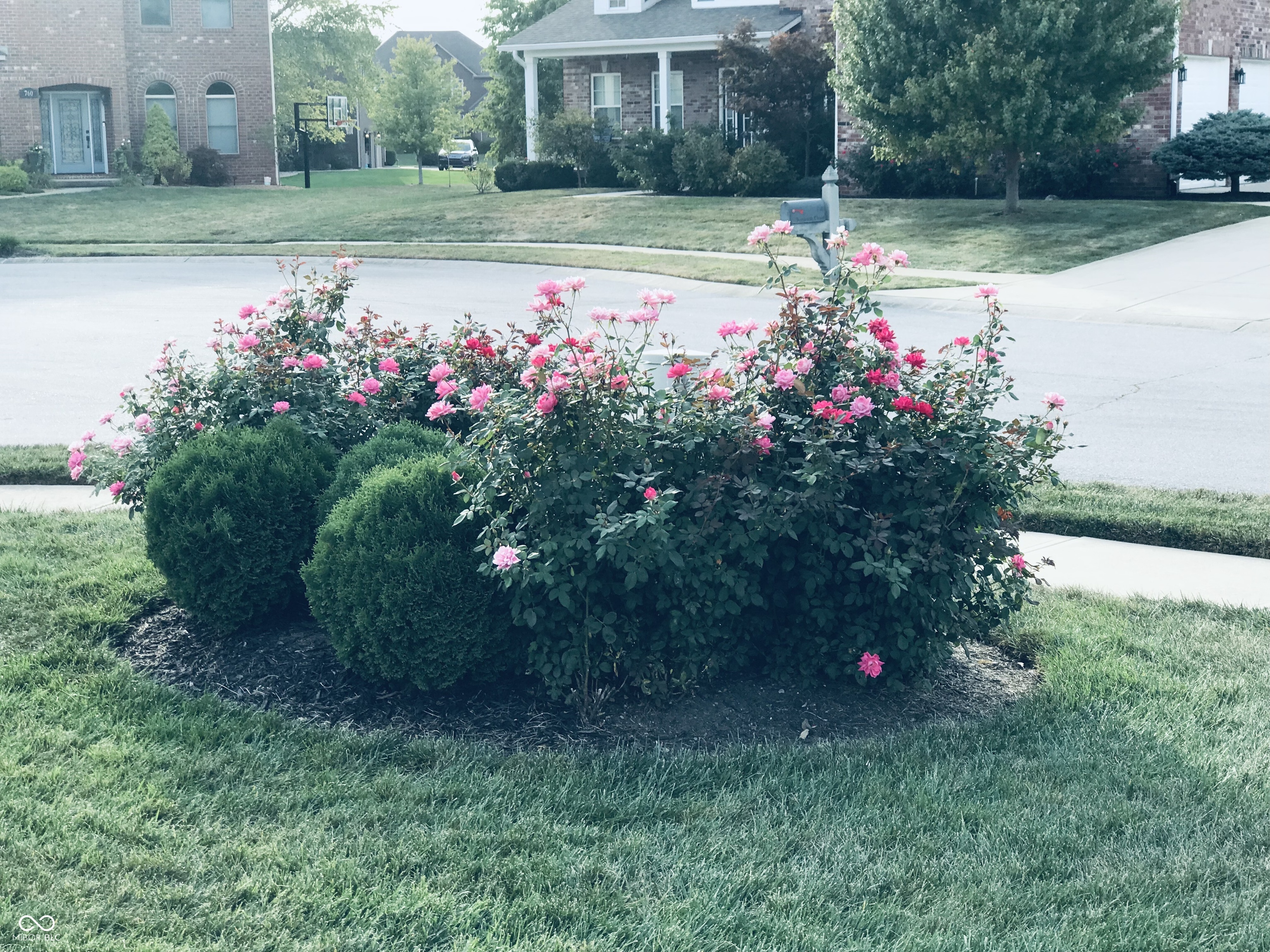 396 Morningside Drive