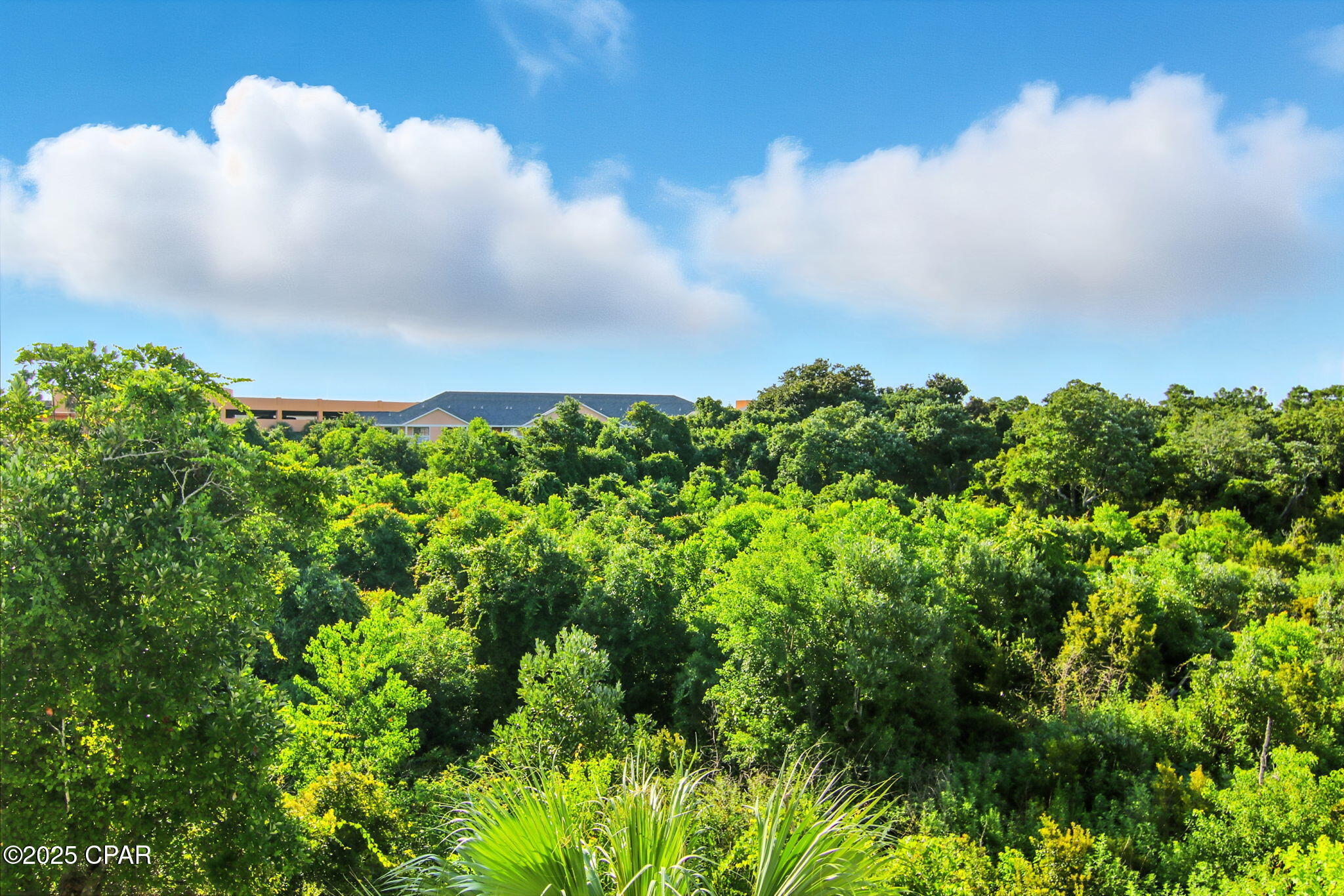 17680 Front Beach Road B302