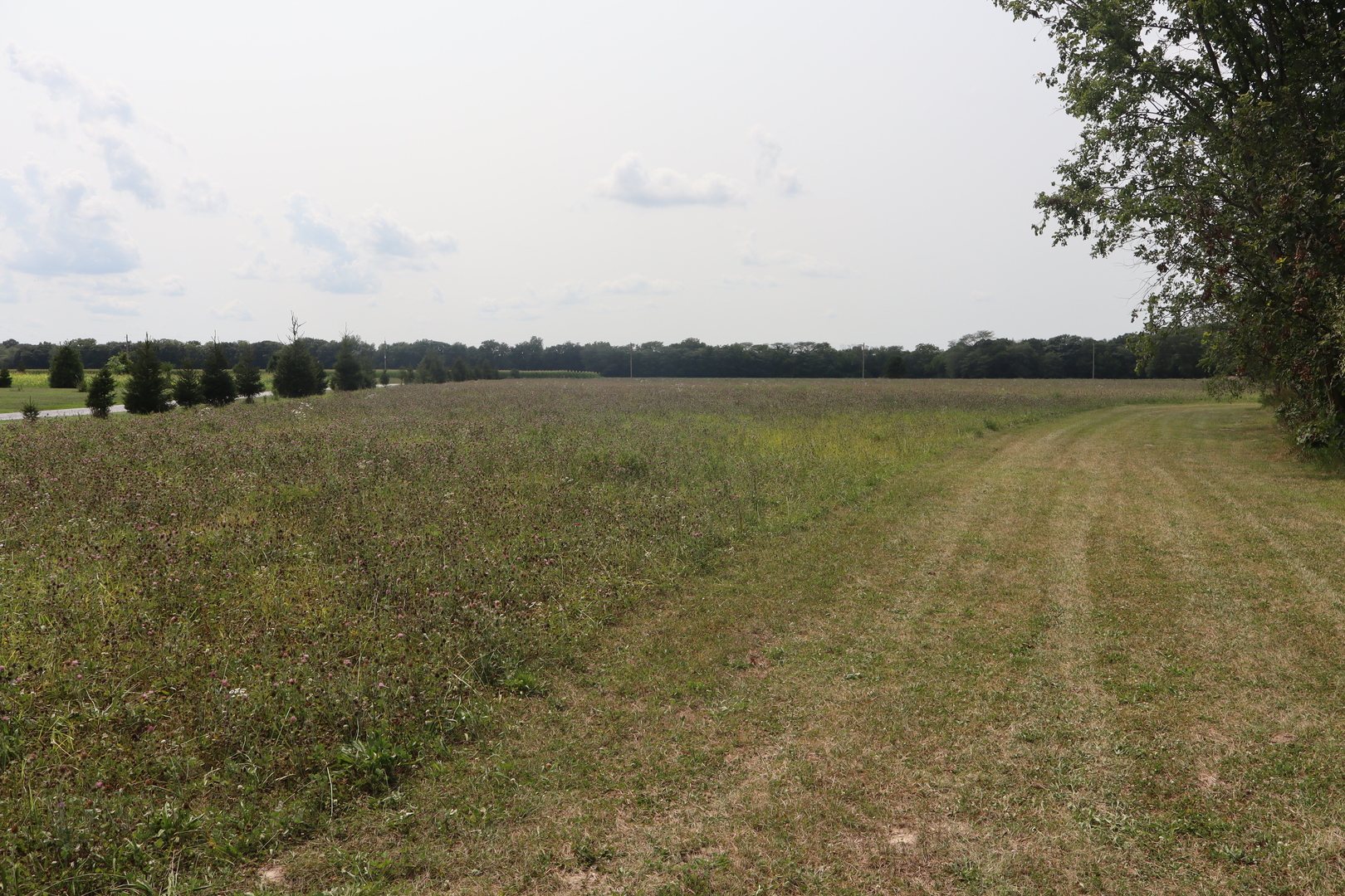 27784 N 725 East Road