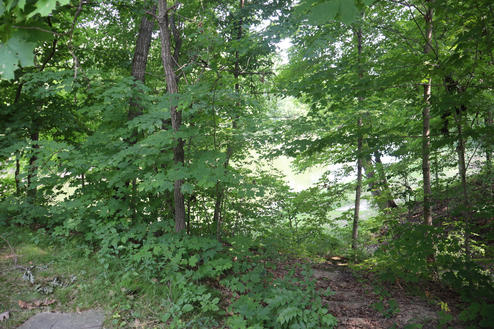 27784 N 725 East Road