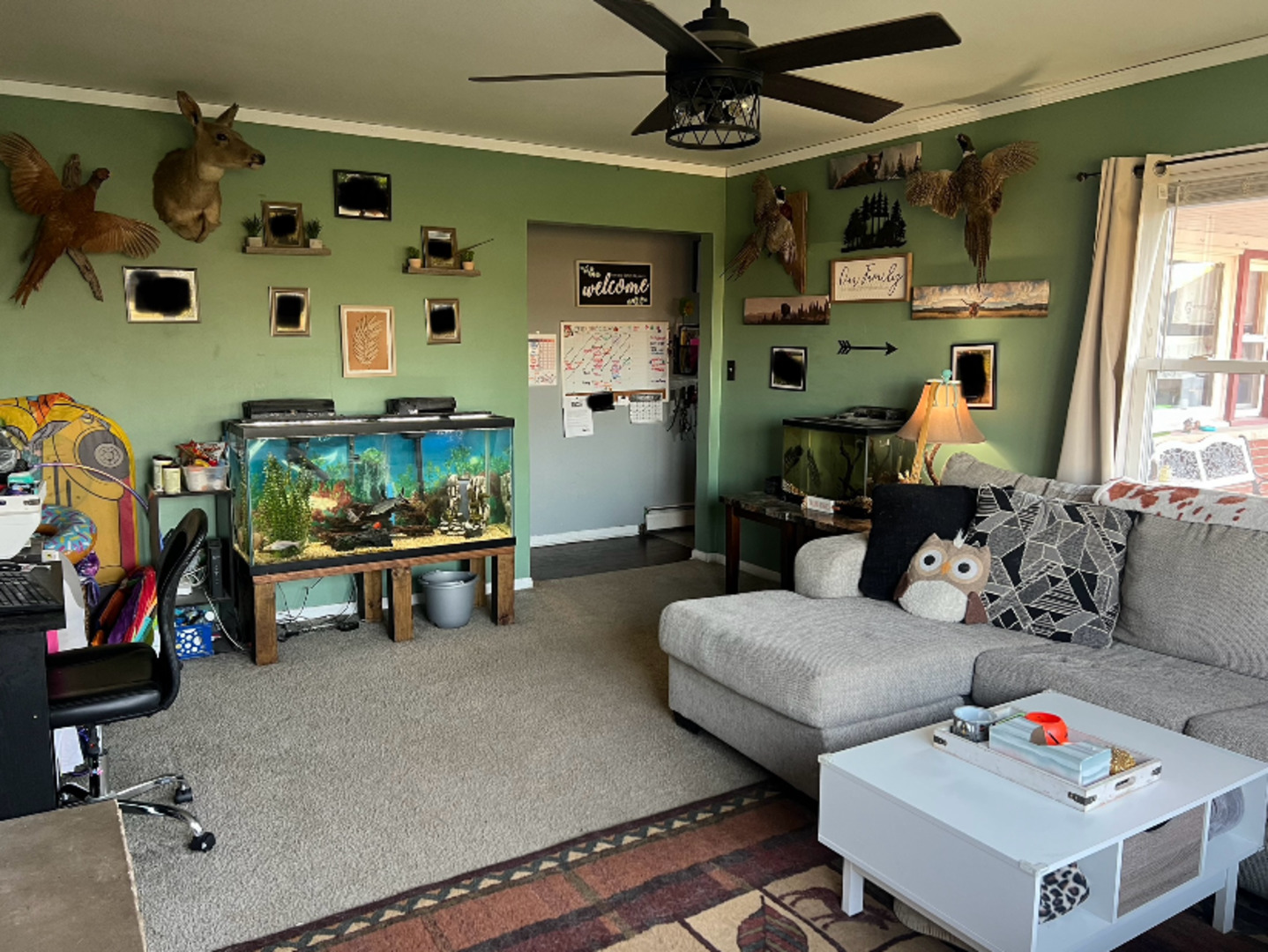 809 Jessie Avenue