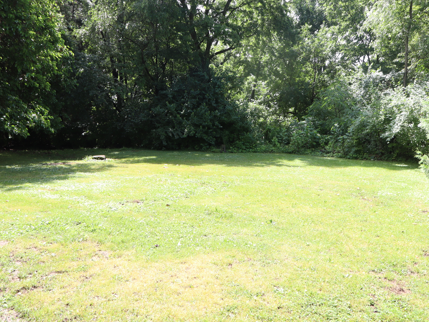 315 W 3rd Street