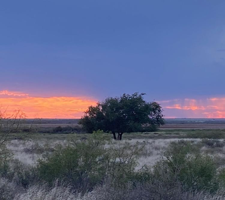 1825 County Road 595