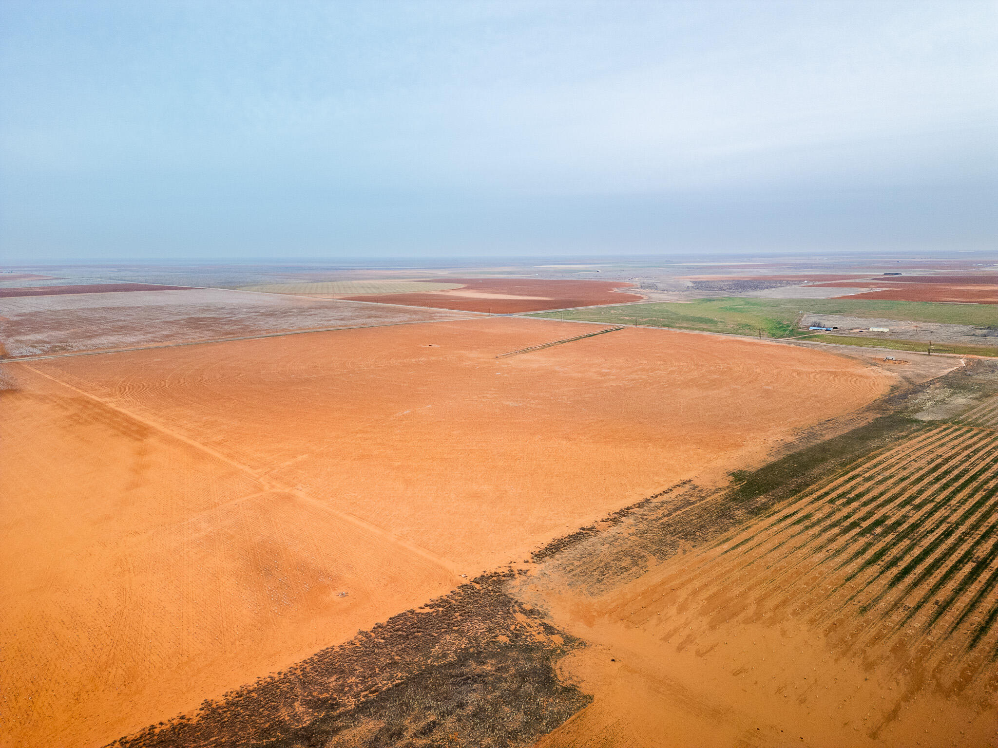 FM 2196 & CR 303 FM 2196 & CR 303