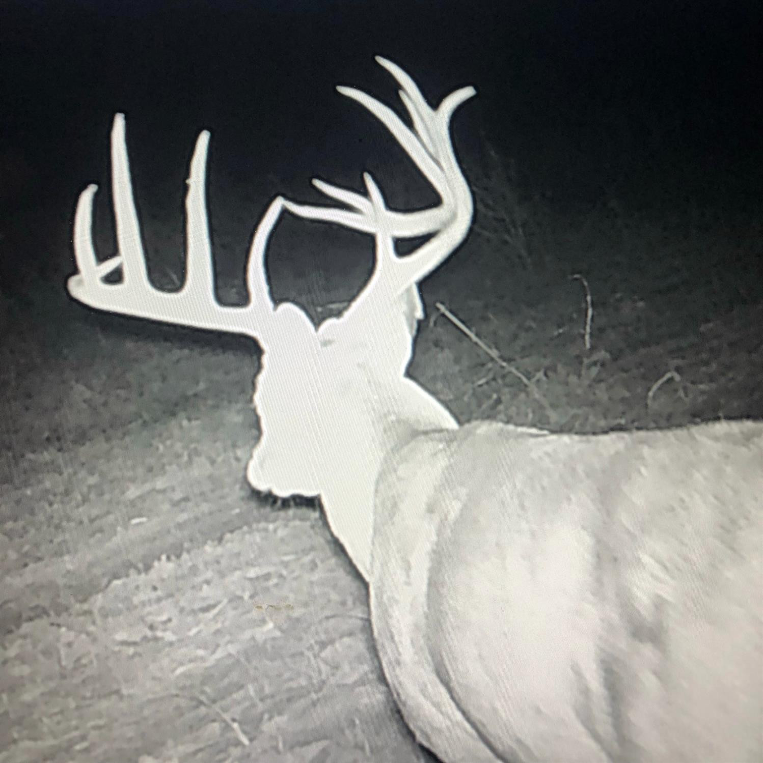 1825 County Road 595