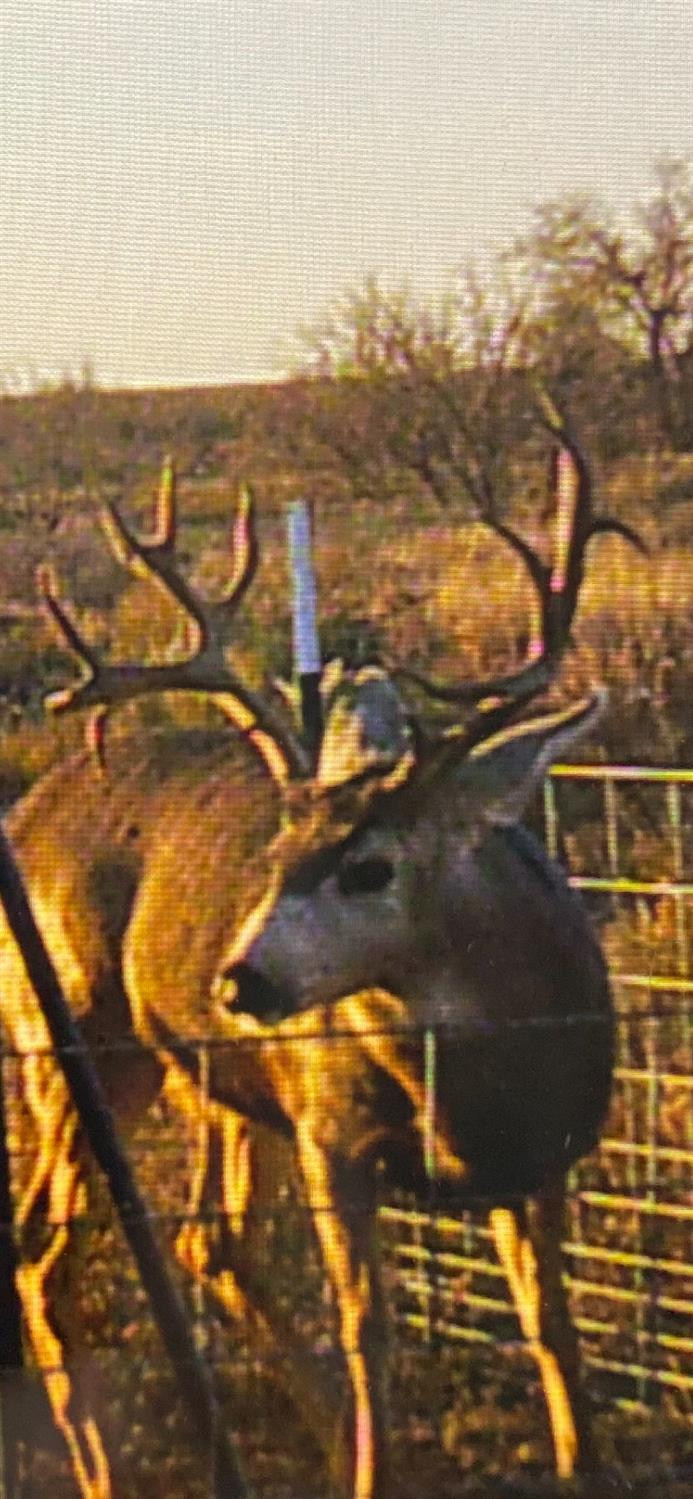 1825 County Road 595